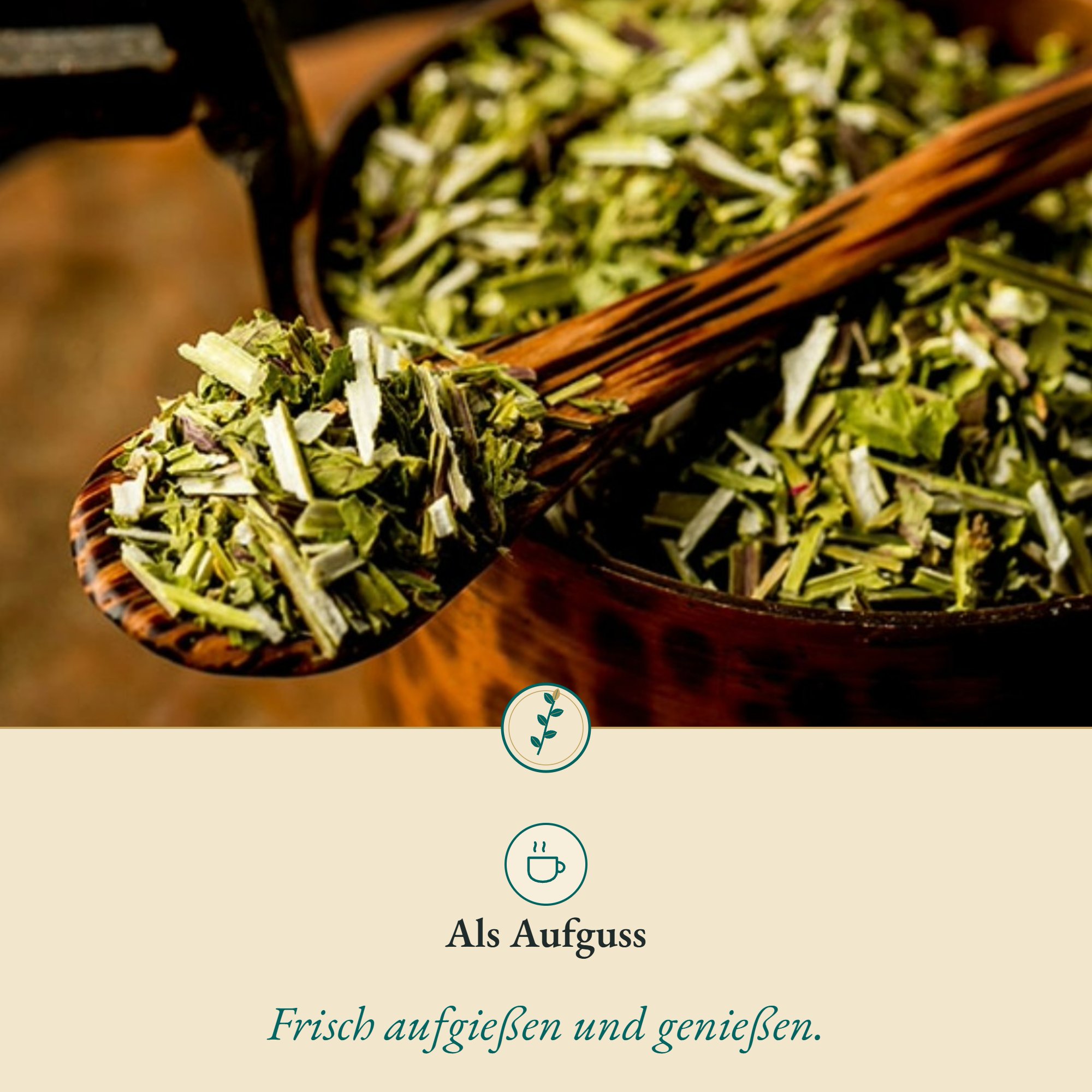 Anwendung Helmkraut: als Aufguss