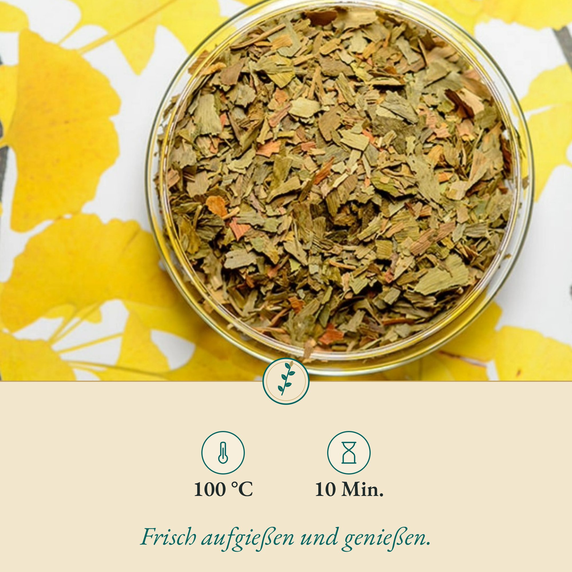 Anwendung Ginkgoblätter: 100 °C und 10 Min.