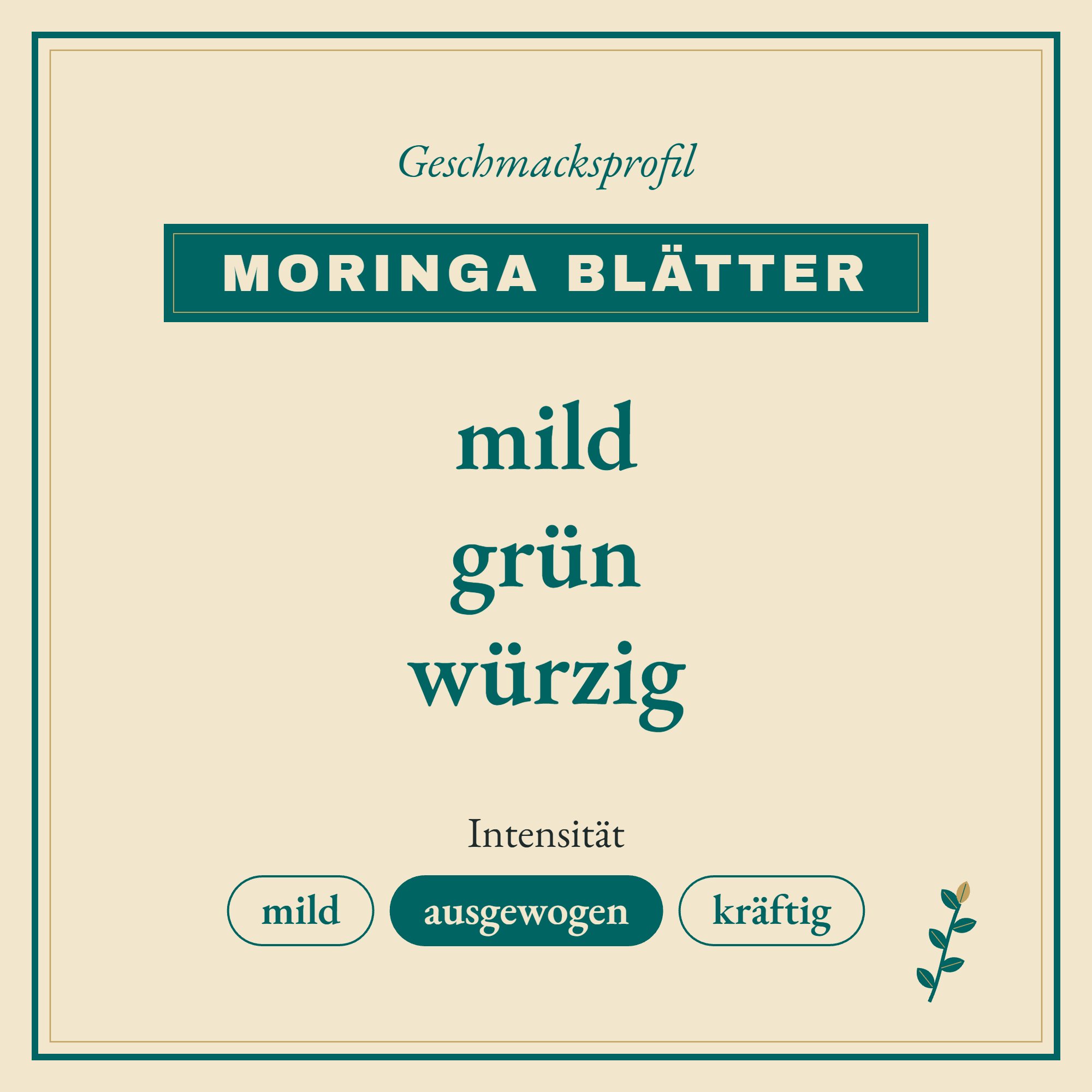 Geschmacksprofil Moringablätter Moringa oleifera Folia: mild, grün und würzig