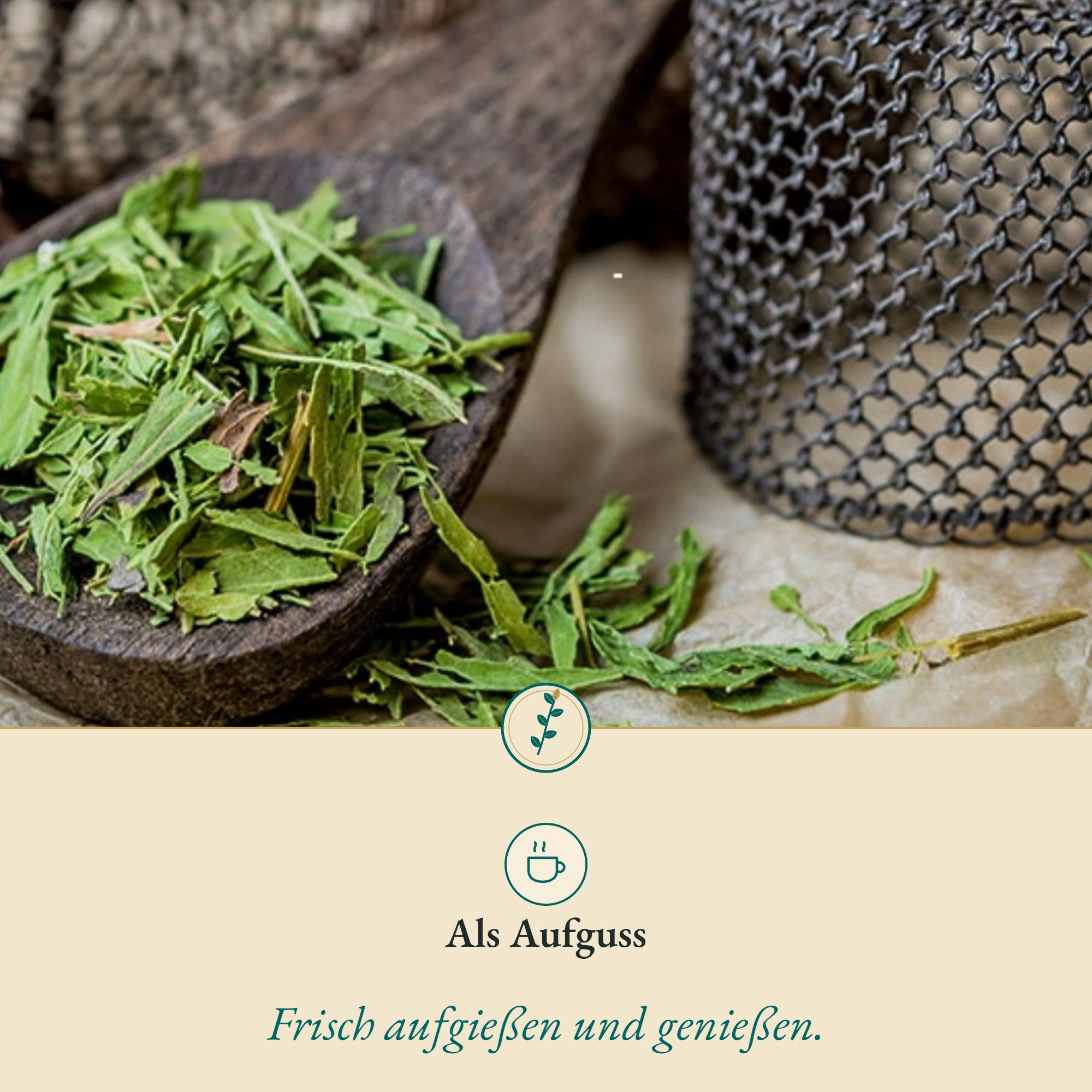 Anwendung Süßkraut-Stevia: als Aufguss