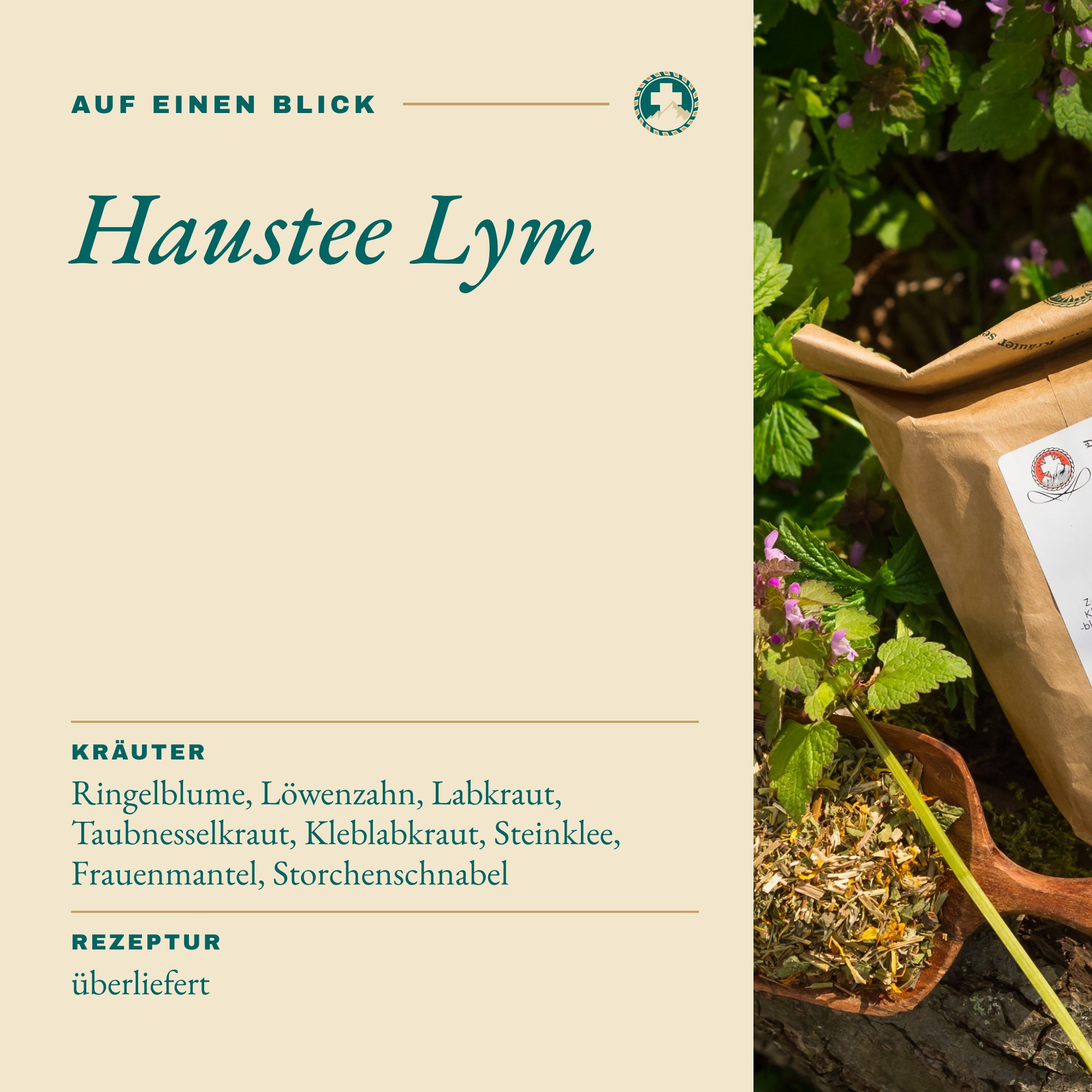 Haustee Lym auf einen Blick