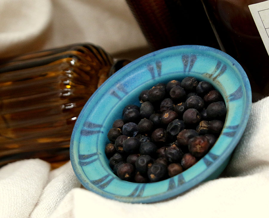 wachholderbeeren ganz