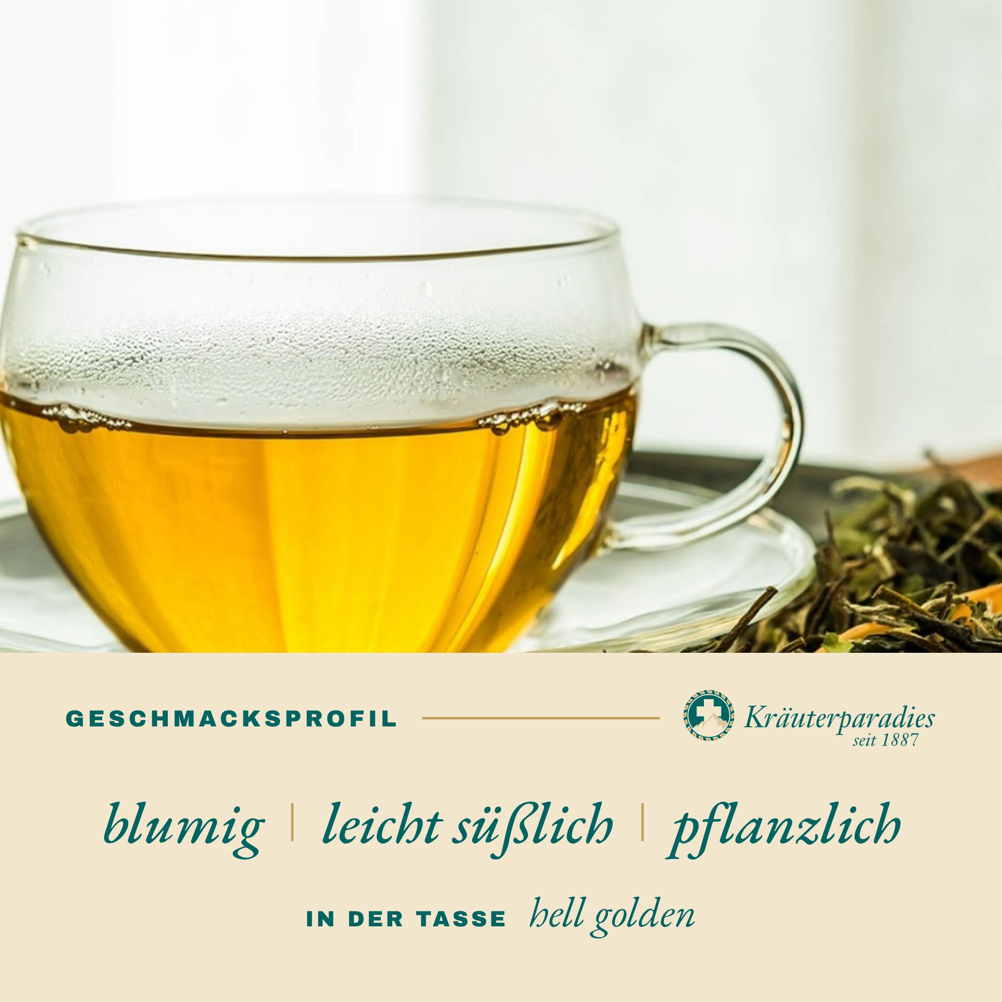 Weißer Tee China Pai Mu Tan 1st Grade Geschmacksprofil: blumig, leicht süßlich, pflanzlich