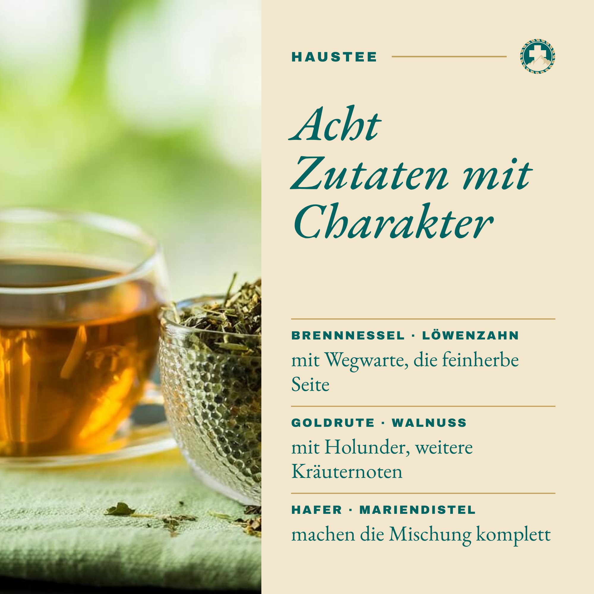 Gib 8: Acht Zutaten mit Charakter