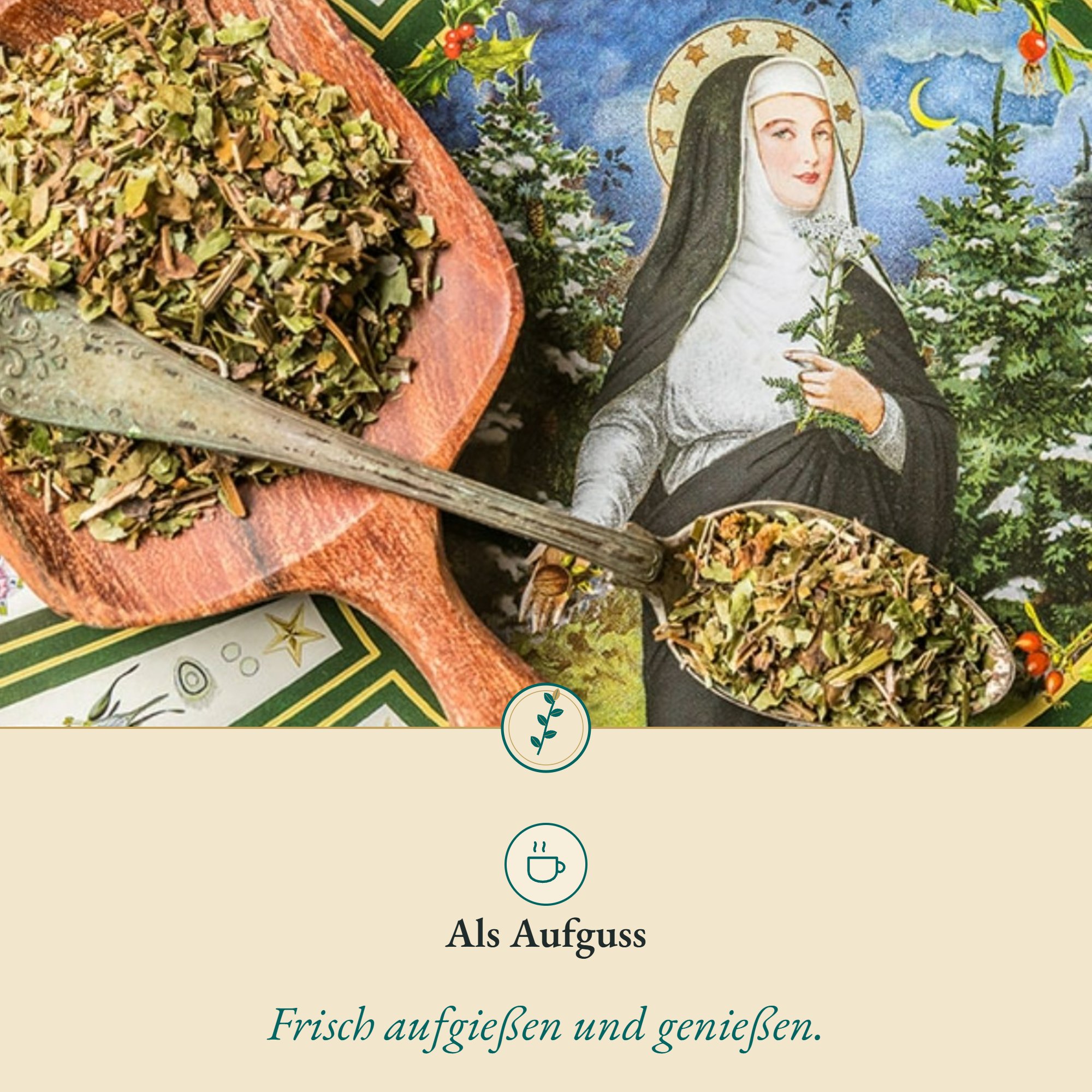 Anwendung Sanikel/Heiligenkraut: als Aufguss