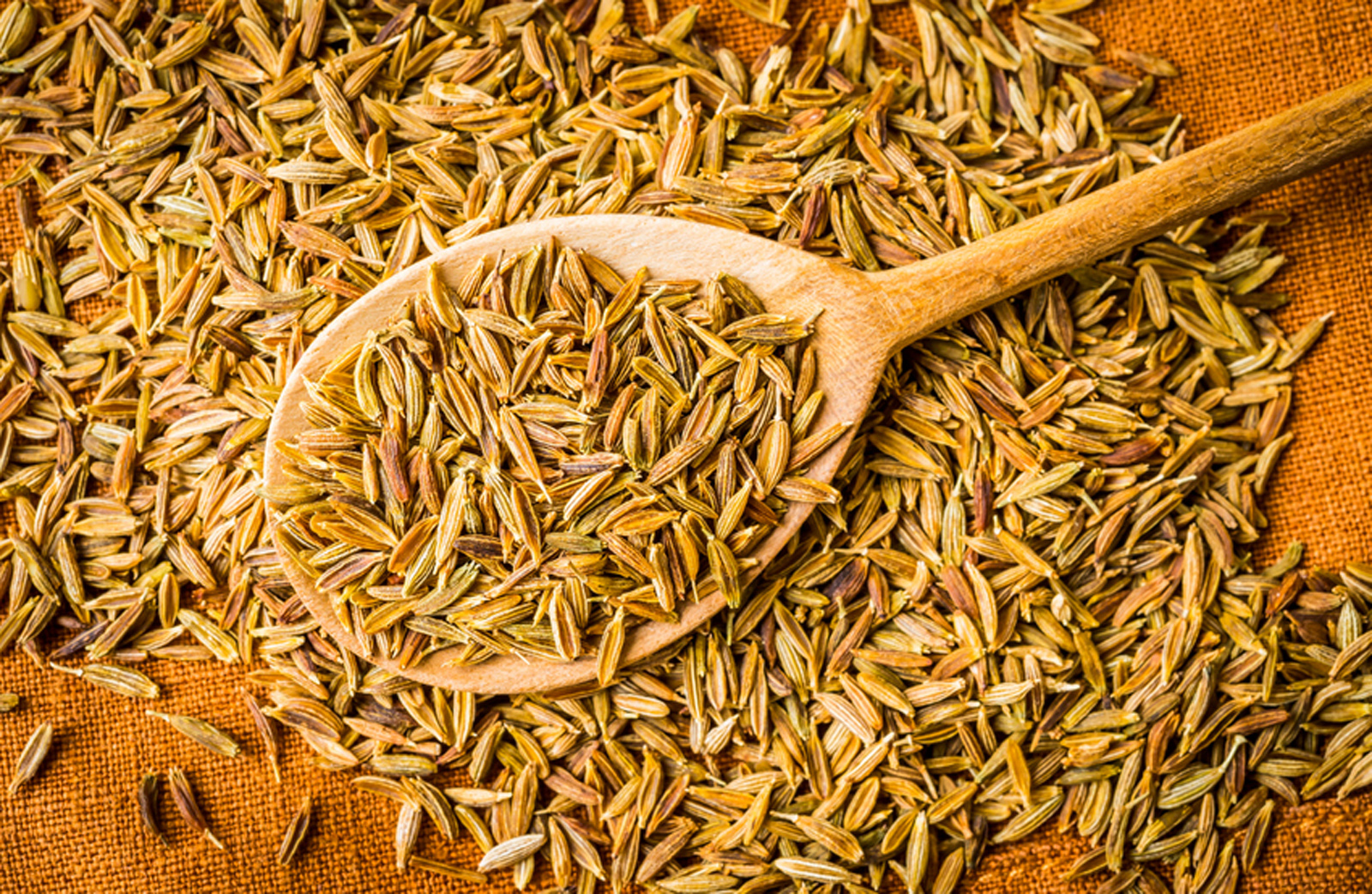 Cumin_Kreuzkuemmel_ganz-