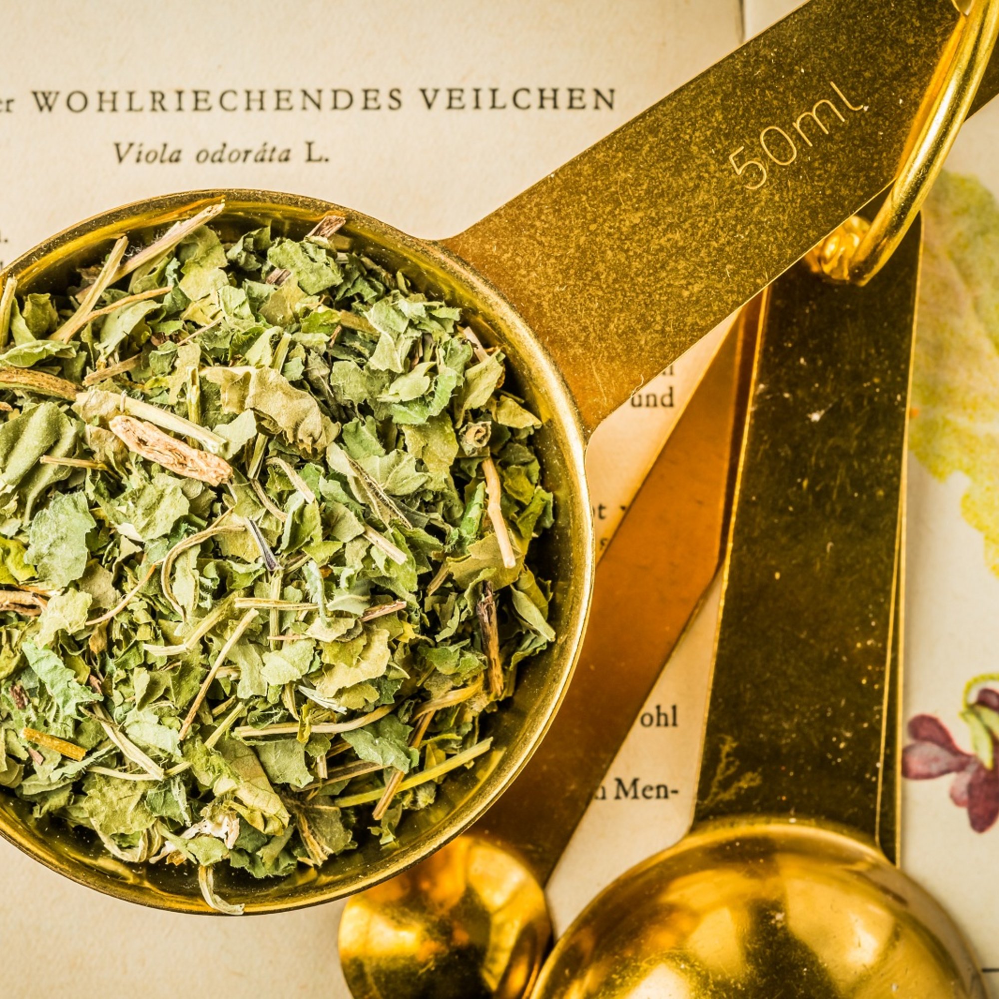 Veilchenblätter/odorata, 20 g – Kräuterparadies seit 1887
