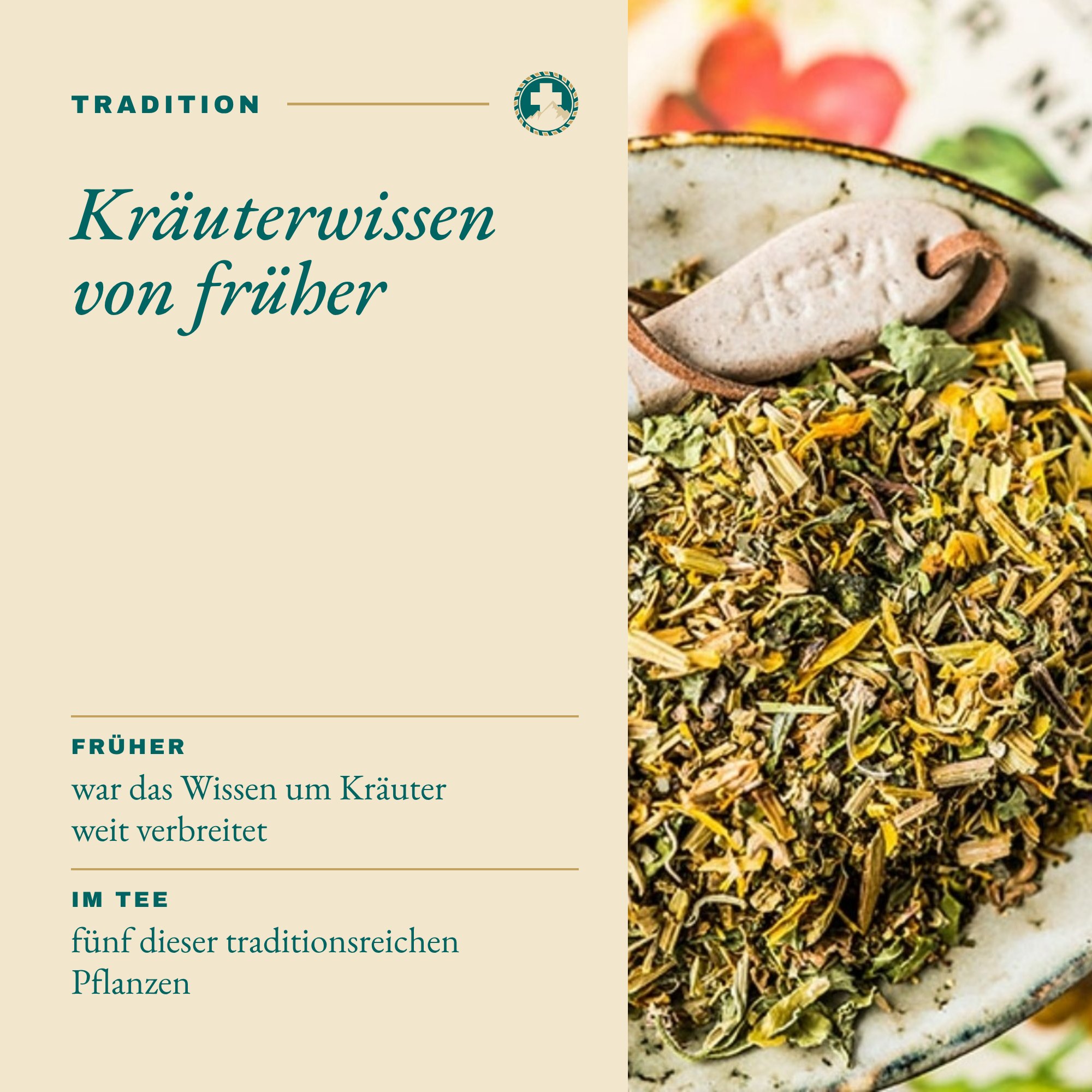 E Zusatz Tradition: Kräuterwissen von früher