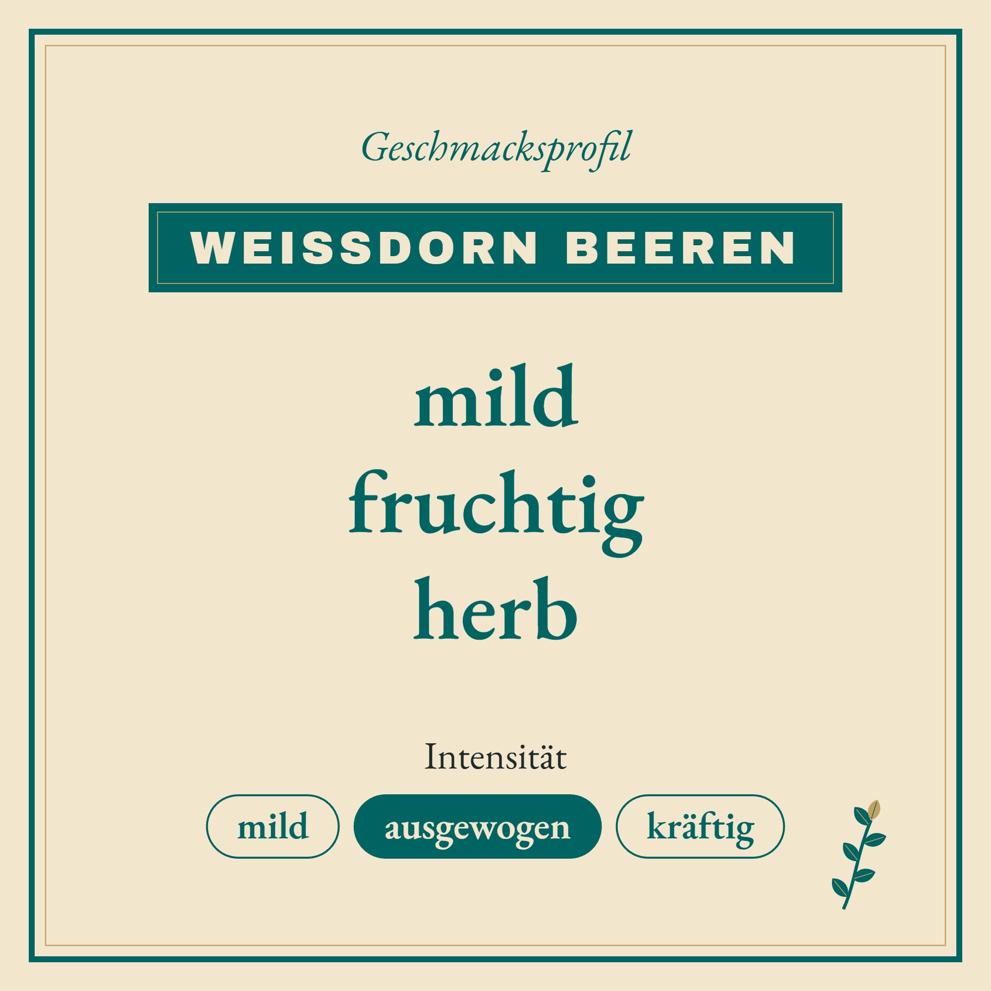 Geschmacksprofil Weißdornbeeren: mild, fruchtig und herb