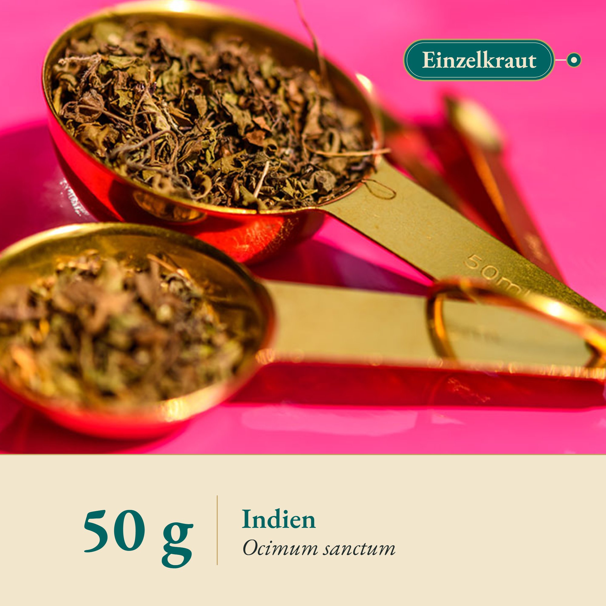 Nahaufnahme Tulsikraut aus Indien – Kräuterparadies seit 1887