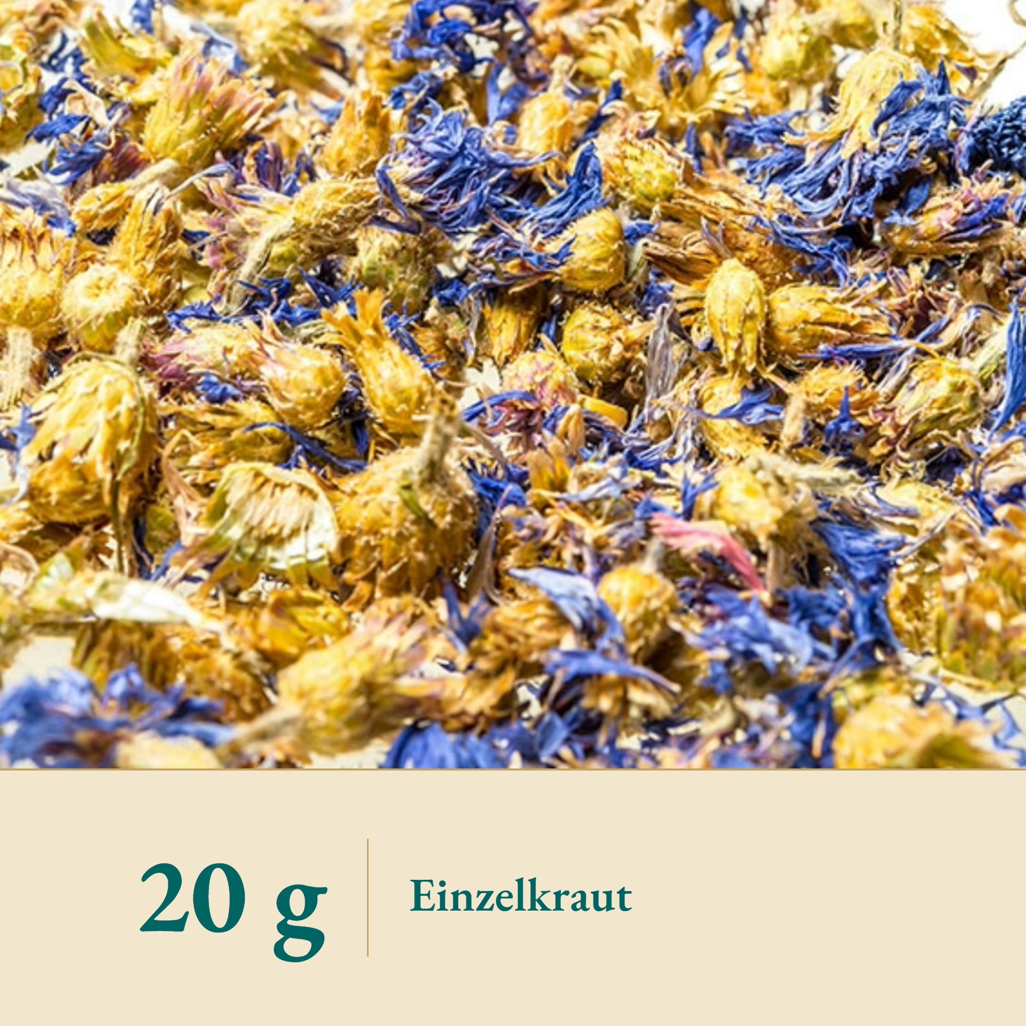 Nahaufnahme Kornblume blau m. Kelch – Kräuterparadies seit 1887