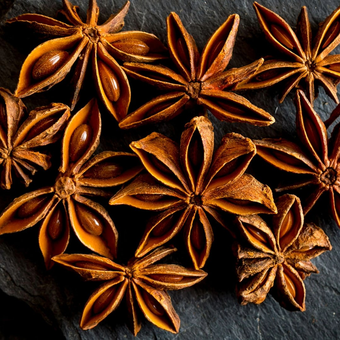 Sternanis