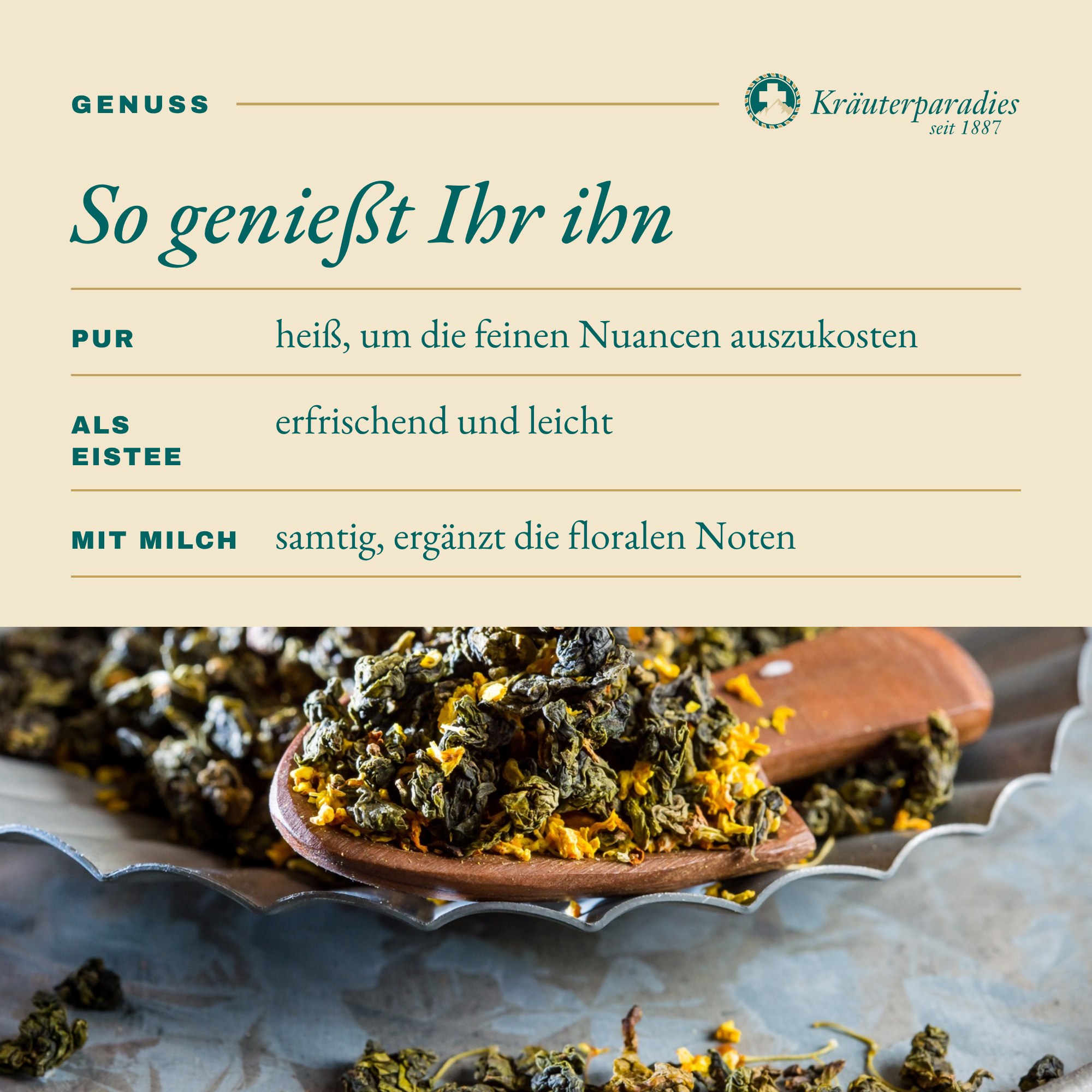 Oolong Tee Huan Jin Gui: So genießt Ihr ihn