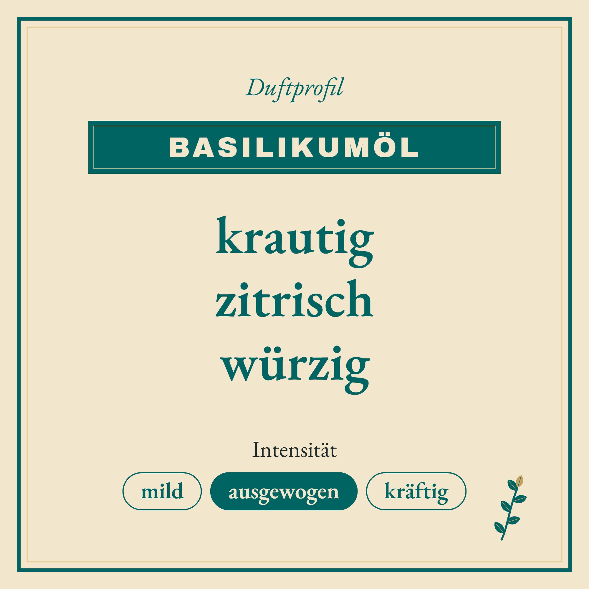 Duftprofil Basilikumöl: krautig, zitrisch und würzig