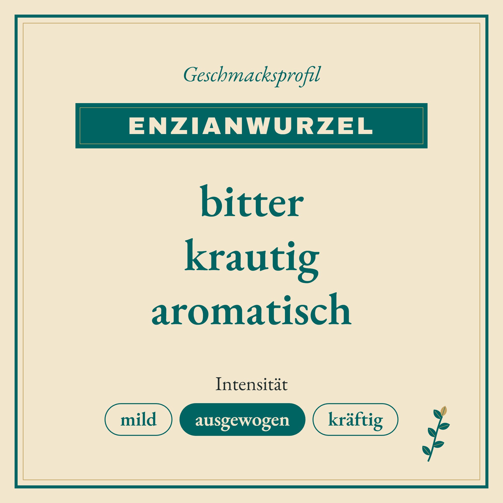 Geschmacksprofil Enzianwurzel: bitter, krautig und aromatisch