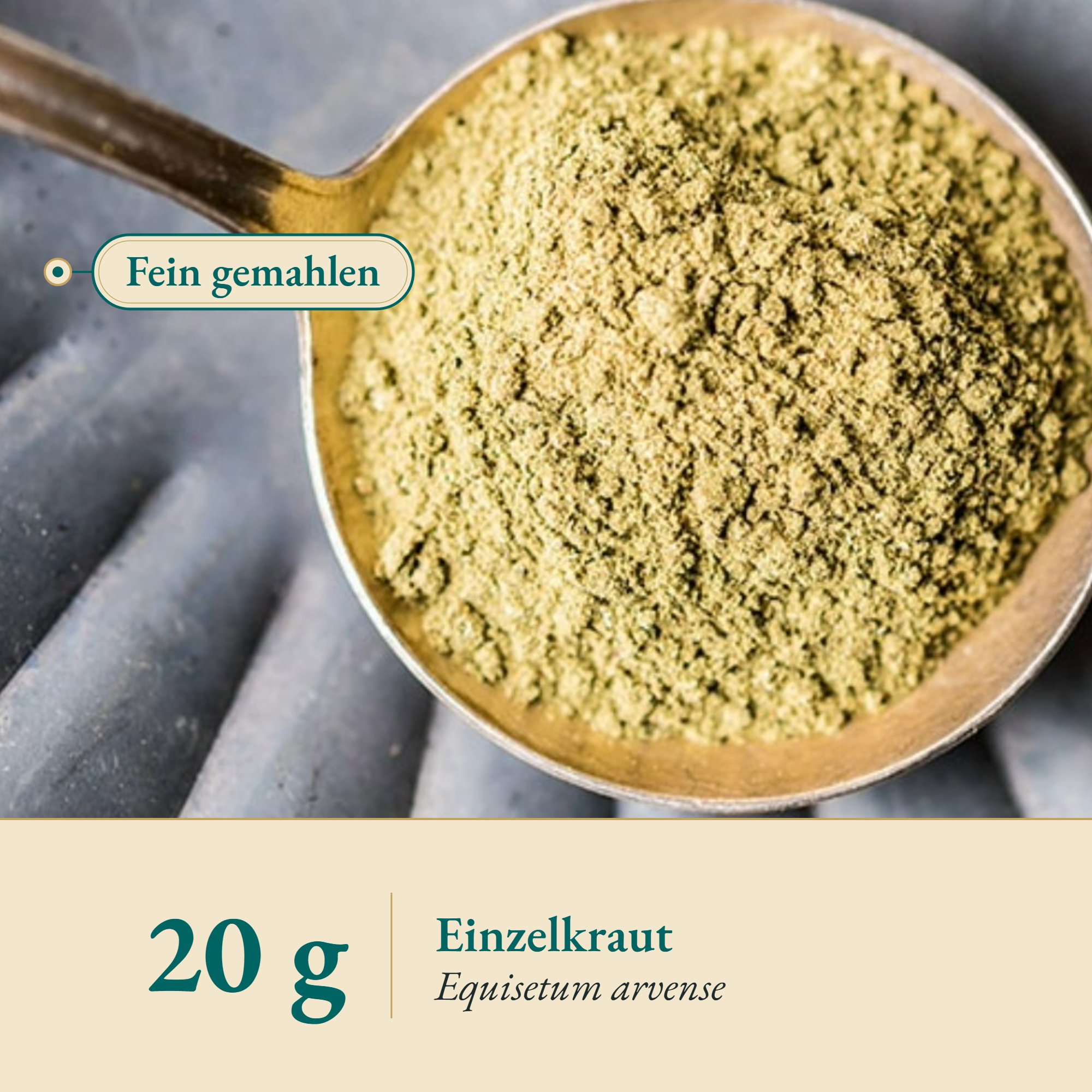 Nahaufnahme Zinnkraut Pulver – Kräuterparadies seit 1887
