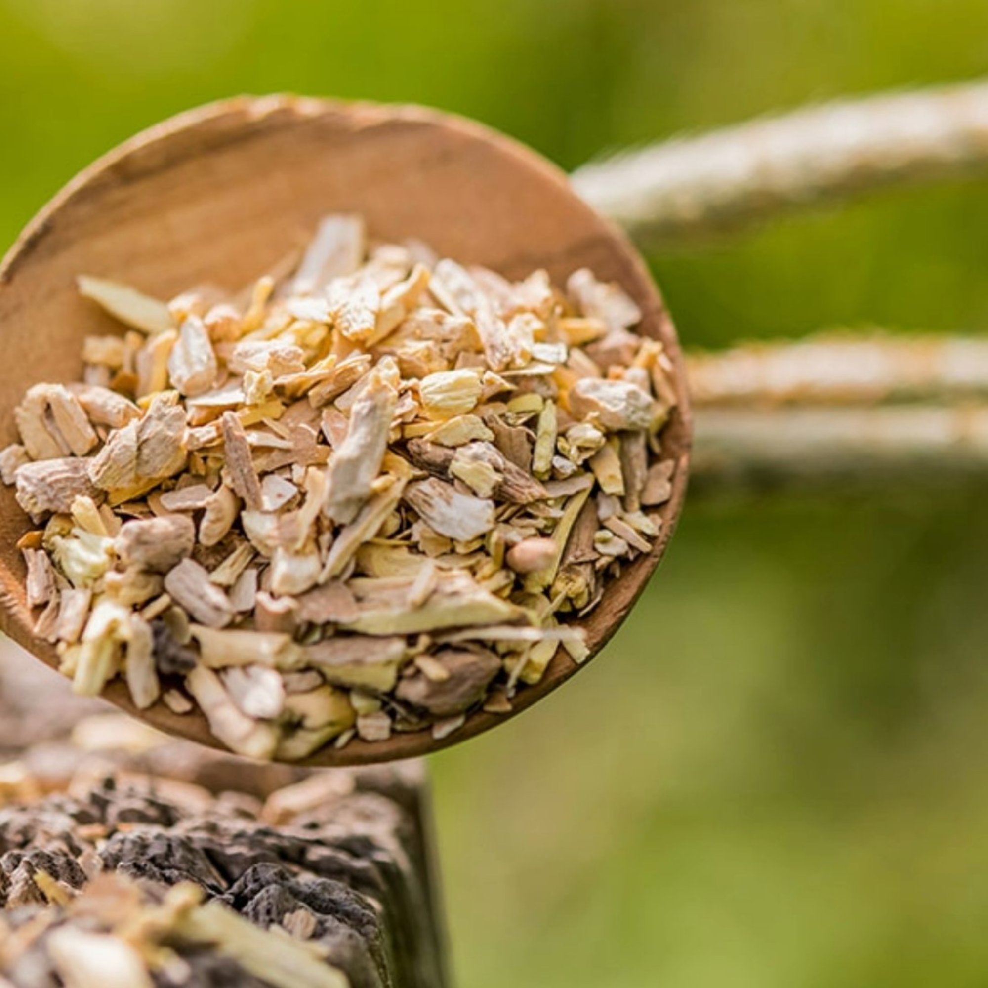 Ashwagandha/Withania, 50 g – Kräuterparadies seit 1887