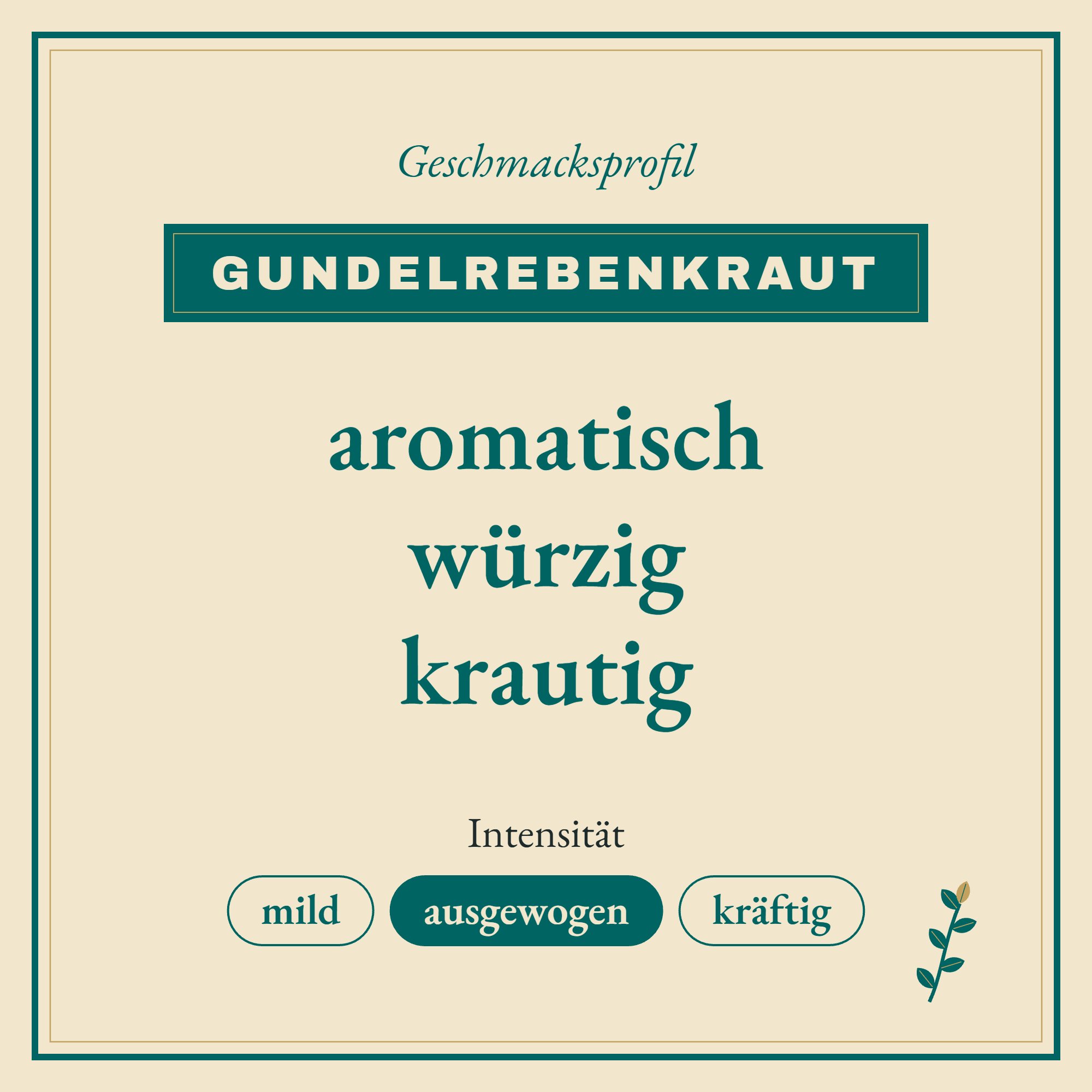 Geschmacksprofil Gundelrebenkraut: aromatisch, würzig und krautig