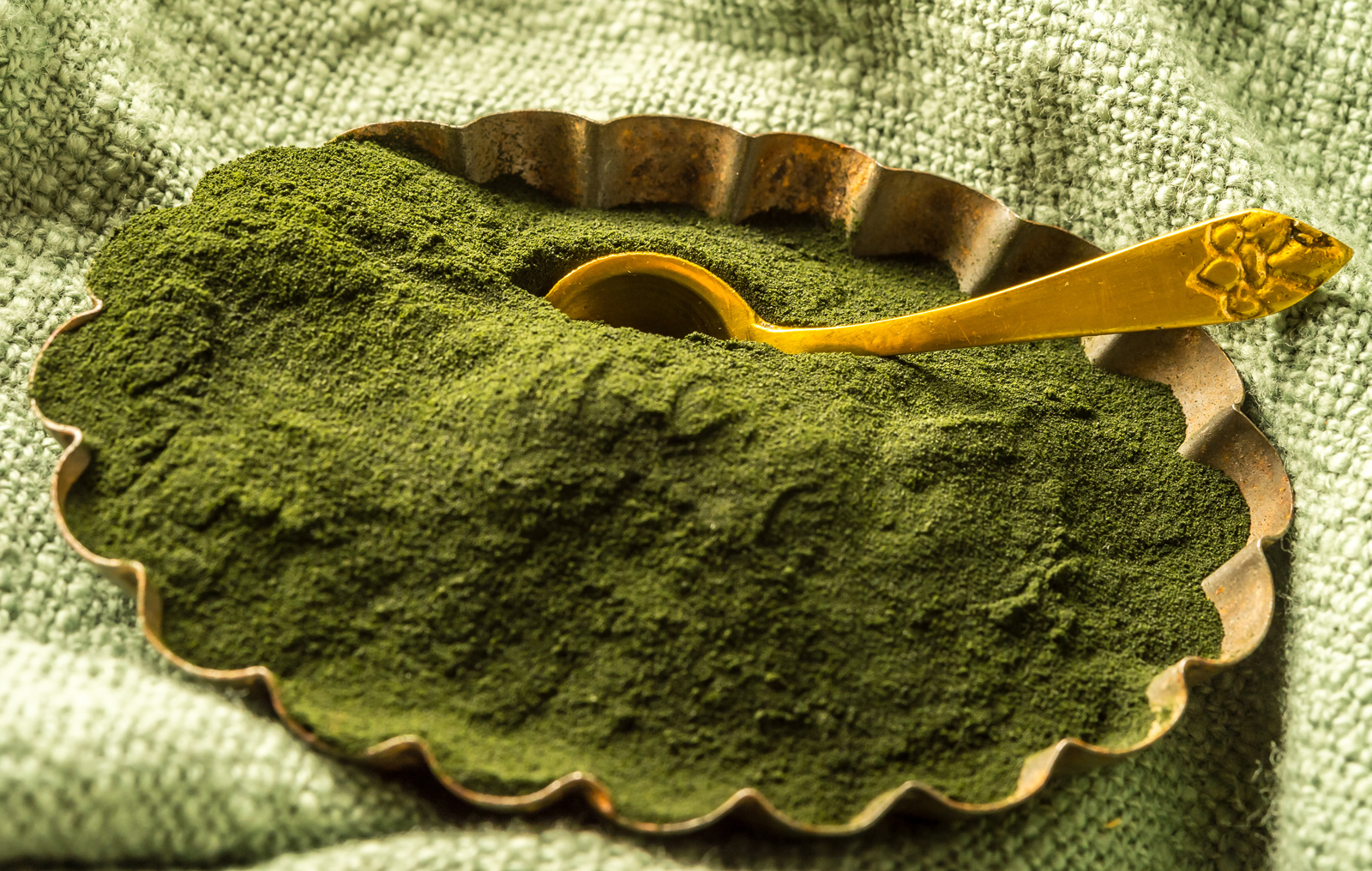 Chlorella_Algen