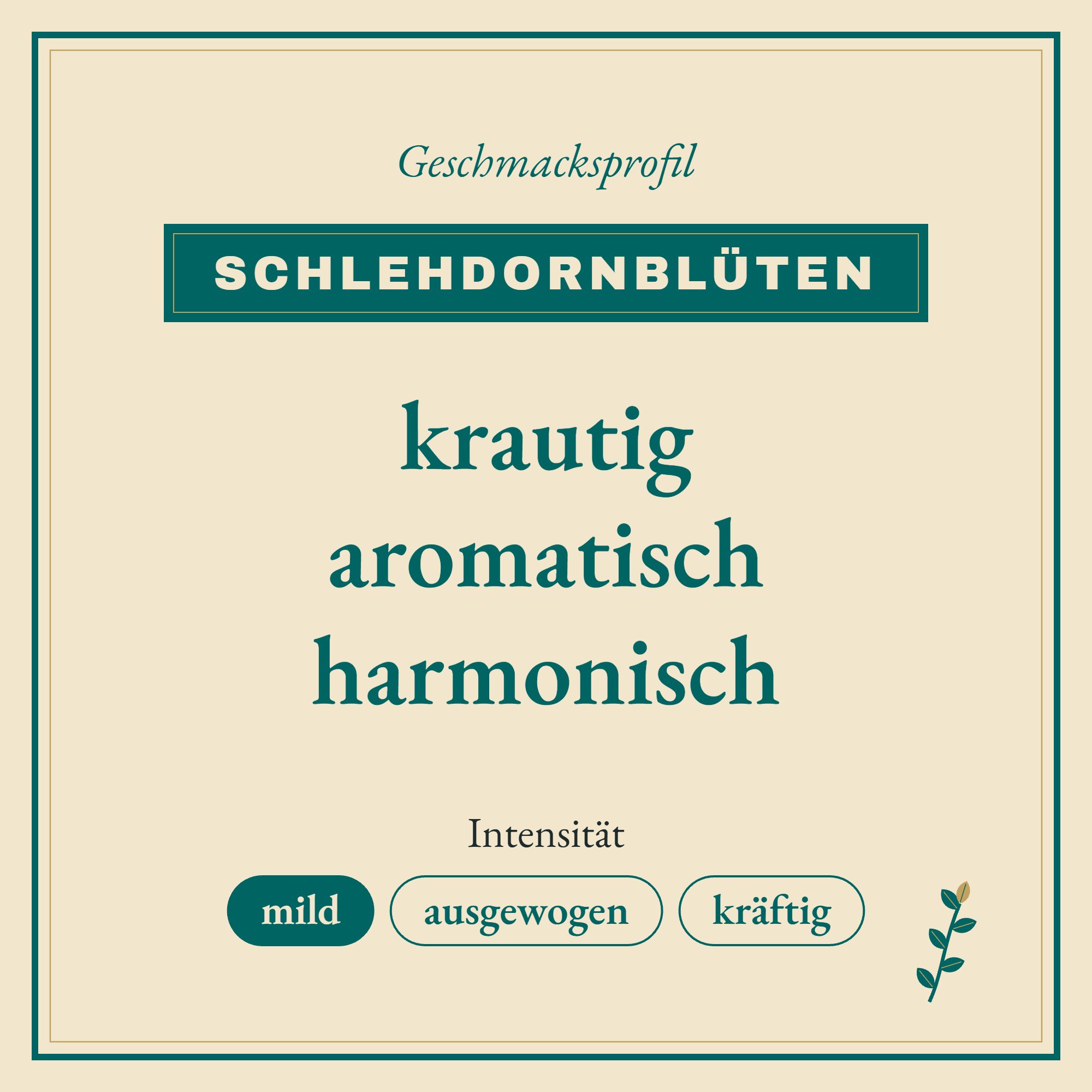 Geschmacksprofil Schlehdornblüten: krautig, aromatisch und harmonisch