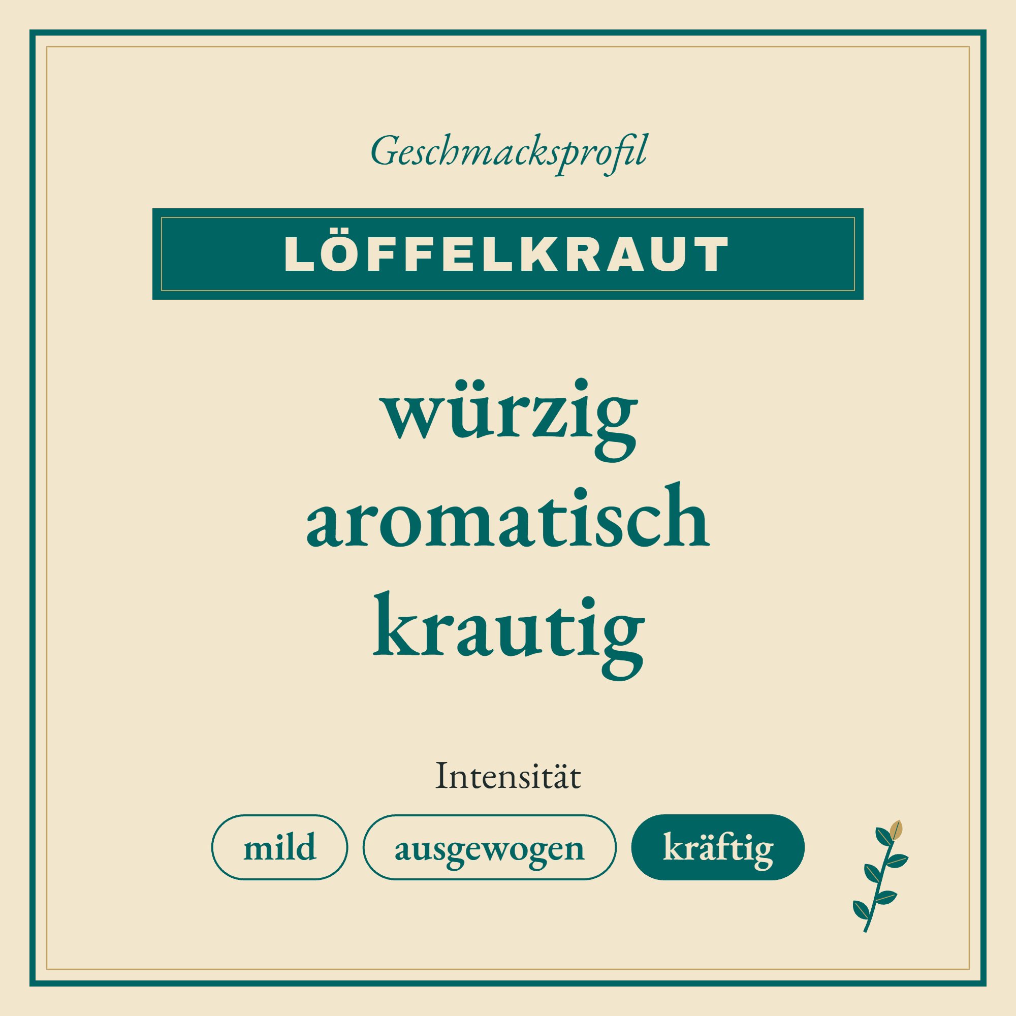 Geschmacksprofil Löffelkraut: würzig, aromatisch und krautig