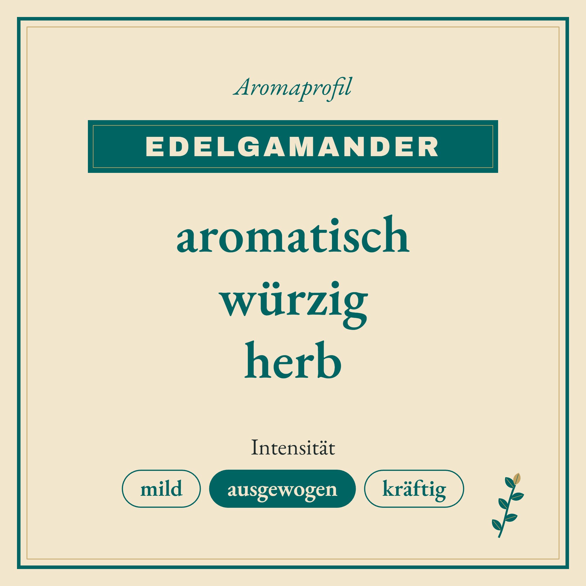 Aromaprofil Edelgamander: aromatisch, würzig und herb