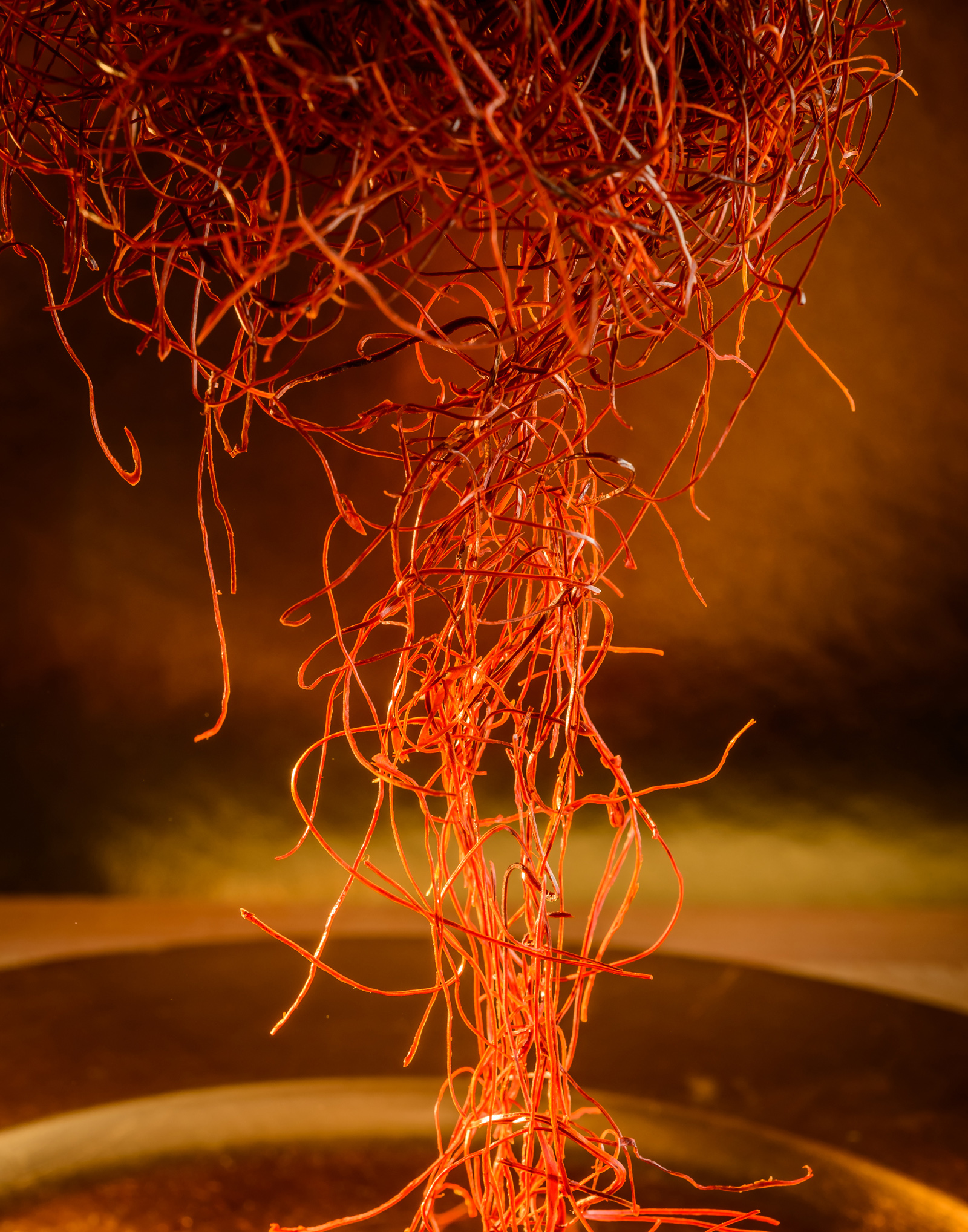 Chili_Strings