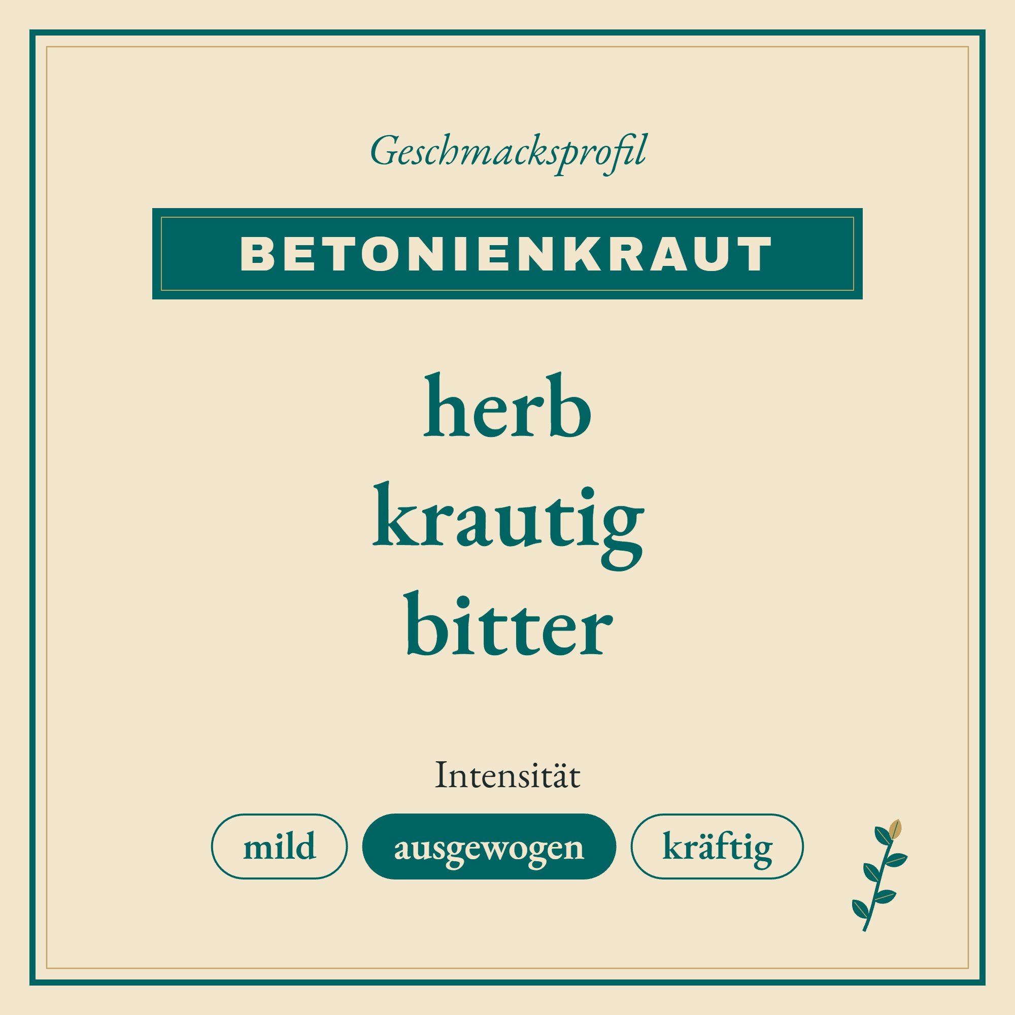 Geschmacksprofil Betonienkraut: herb, krautig und bitter