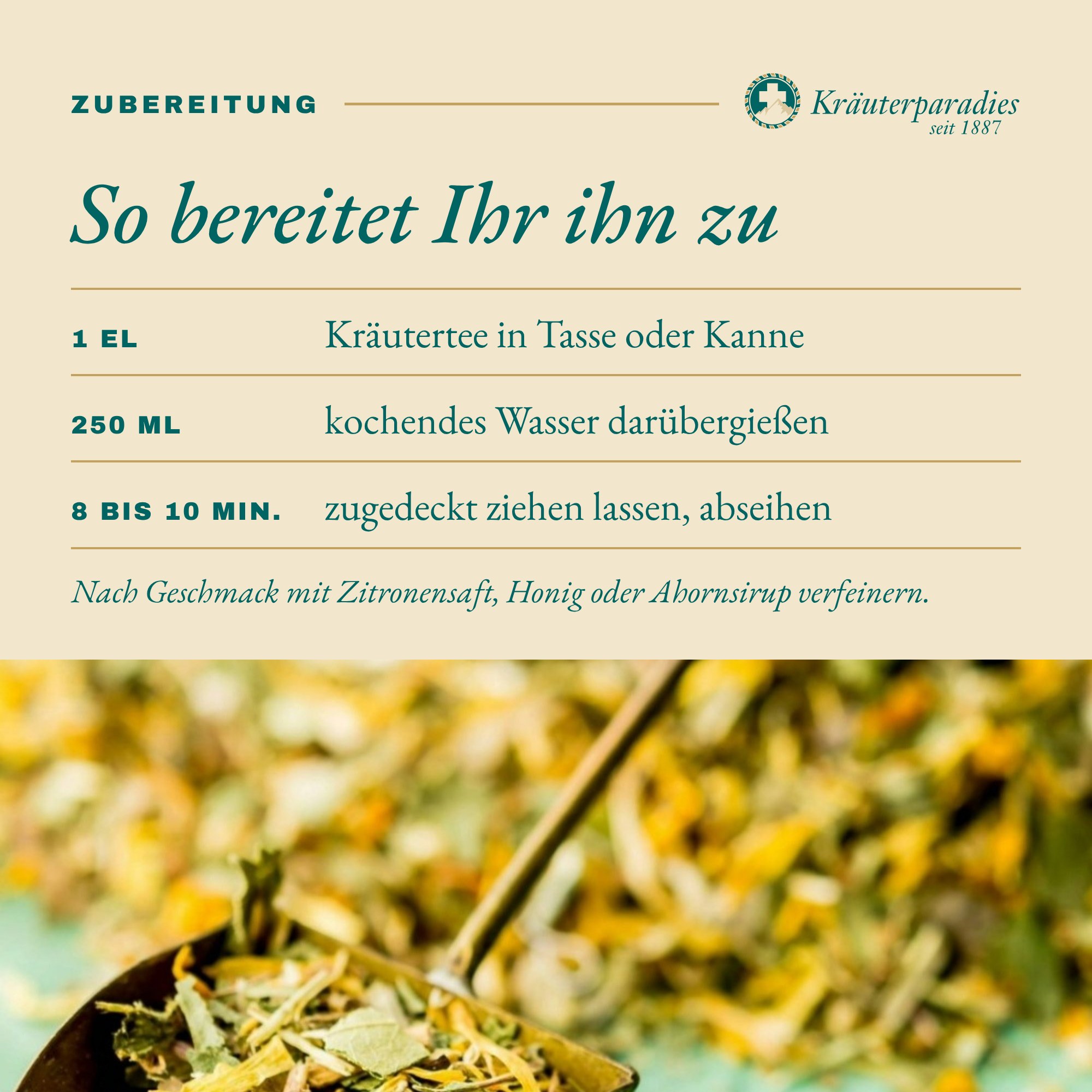 7 Kräutertee: So bereitet Ihr ihn zu