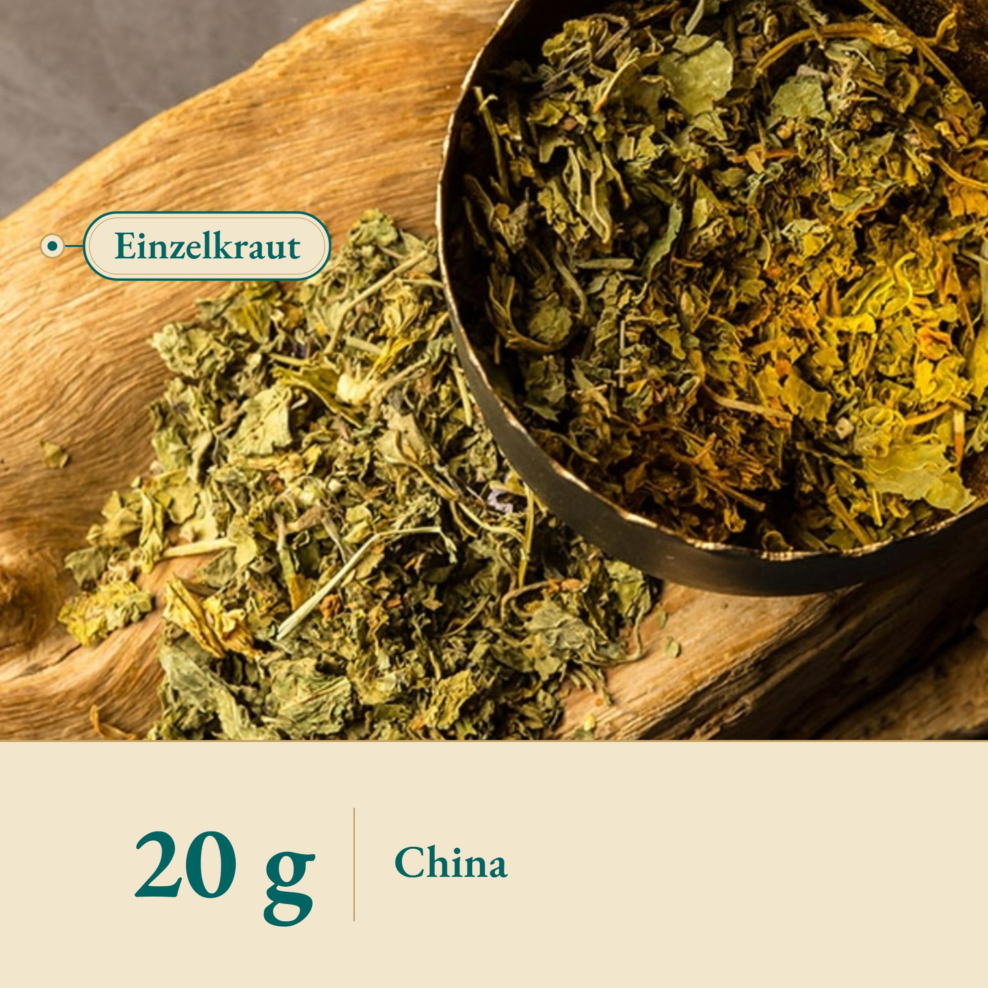 Nahaufnahme Käsepappel Kraut aus China – Kräuterparadies seit 1887