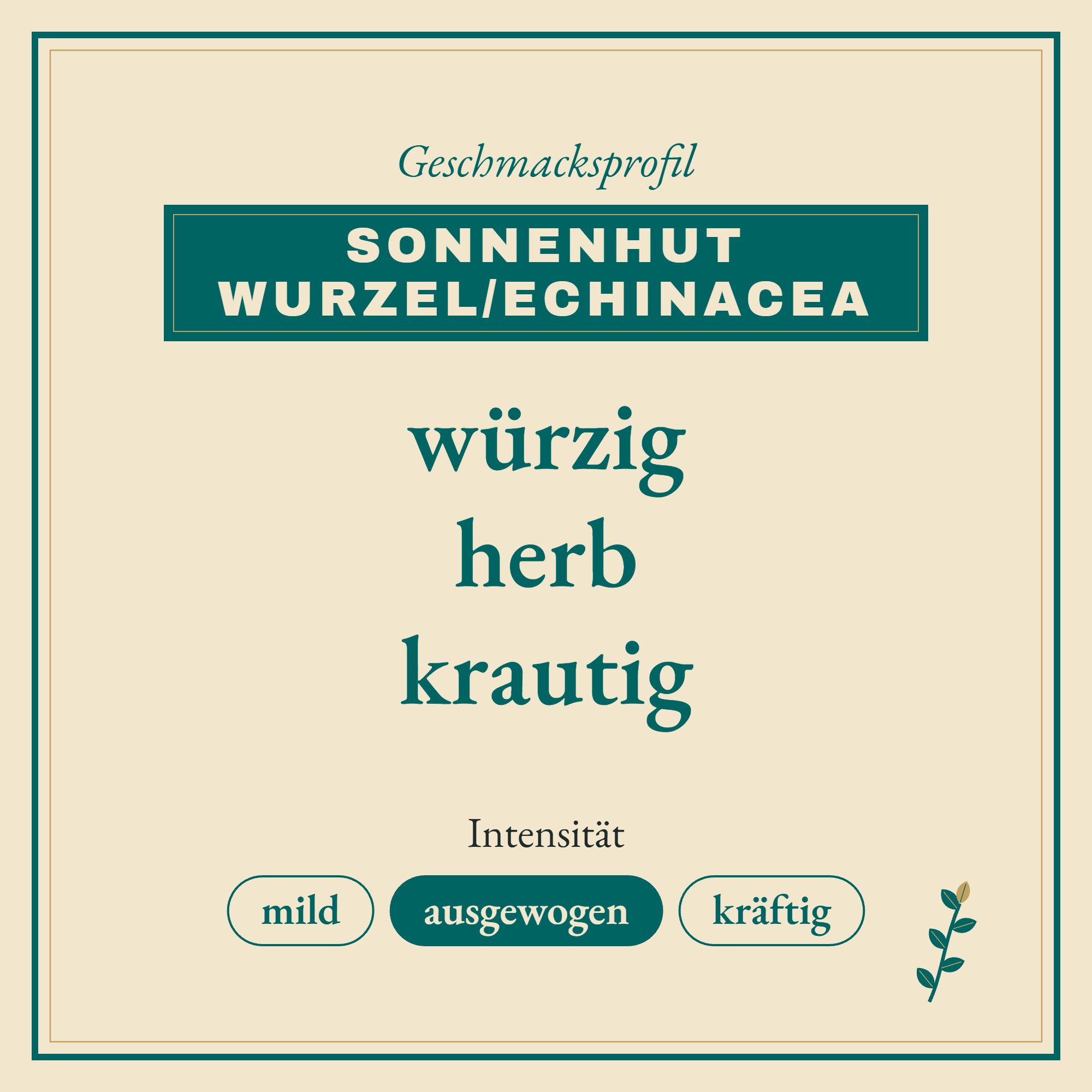 Geschmacksprofil Sonnenhut Wurzel/Echinacea: würzig, herb und krautig