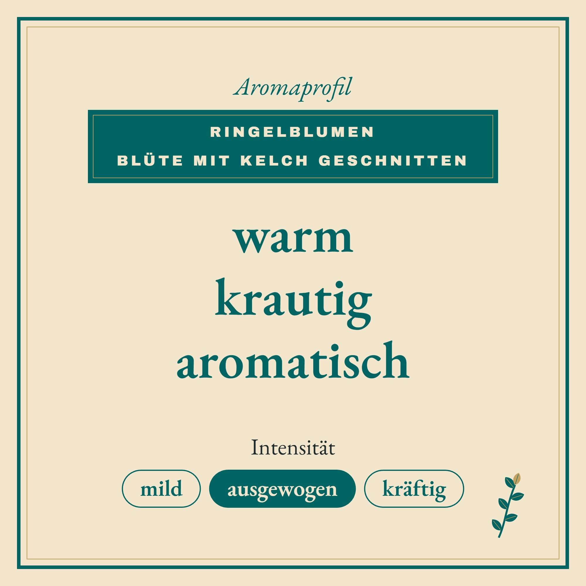 Aromaprofil Ringelblumen Blüte mit Kelch geschnitten: warm, krautig und aromatisch