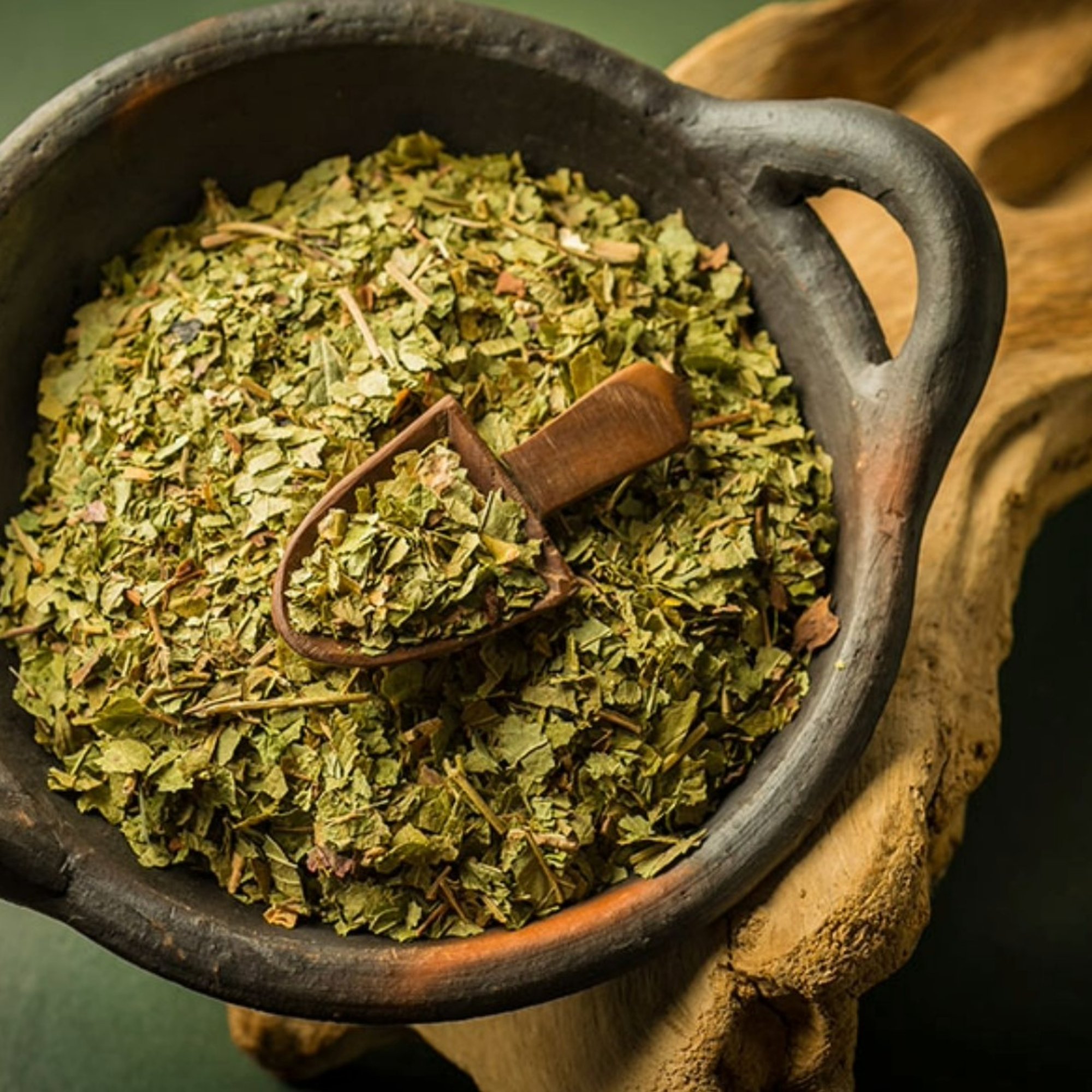 Johannisbeerblätter, 20 g – Kräuterparadies seit 1887