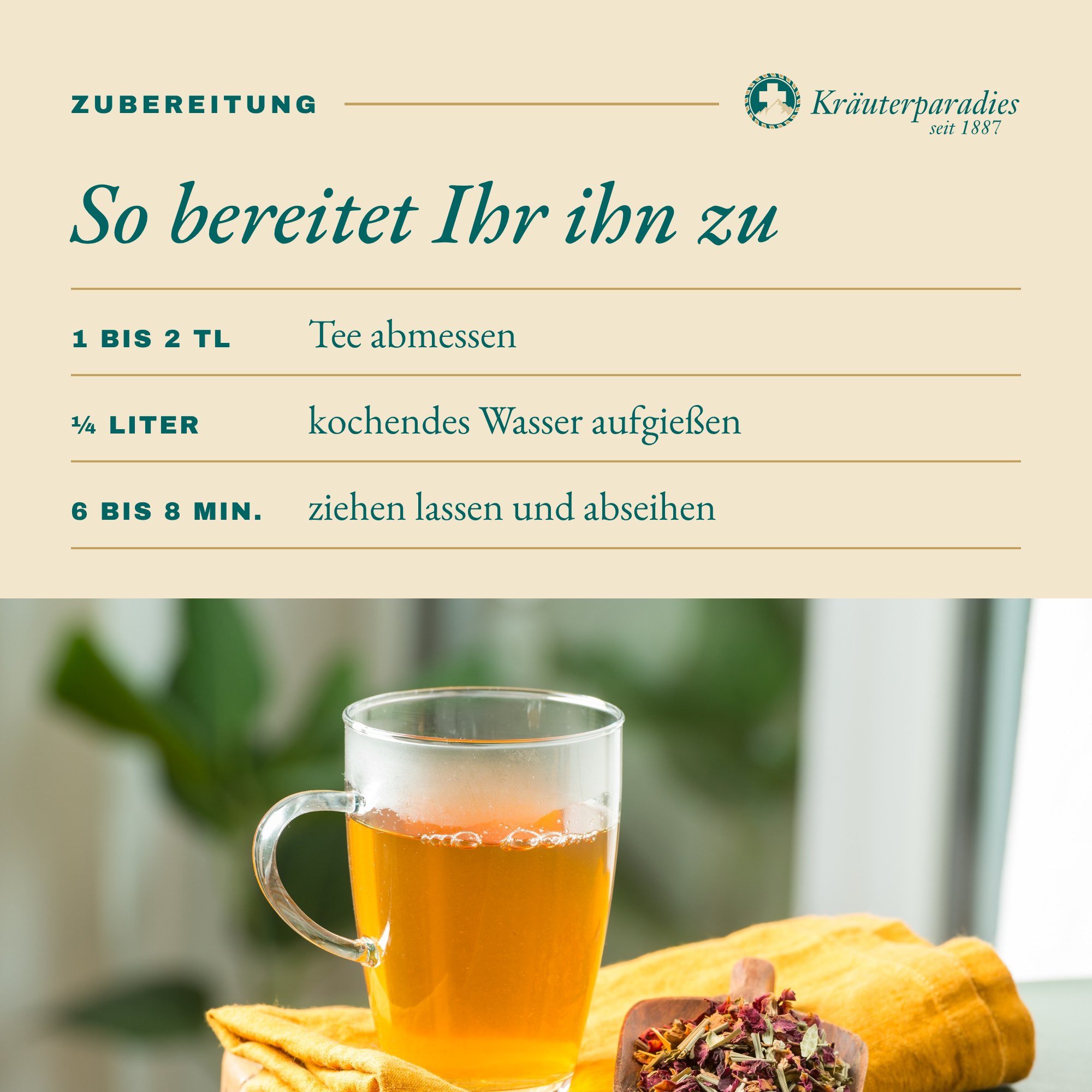 Allzeit: So bereitet Ihr ihn zu