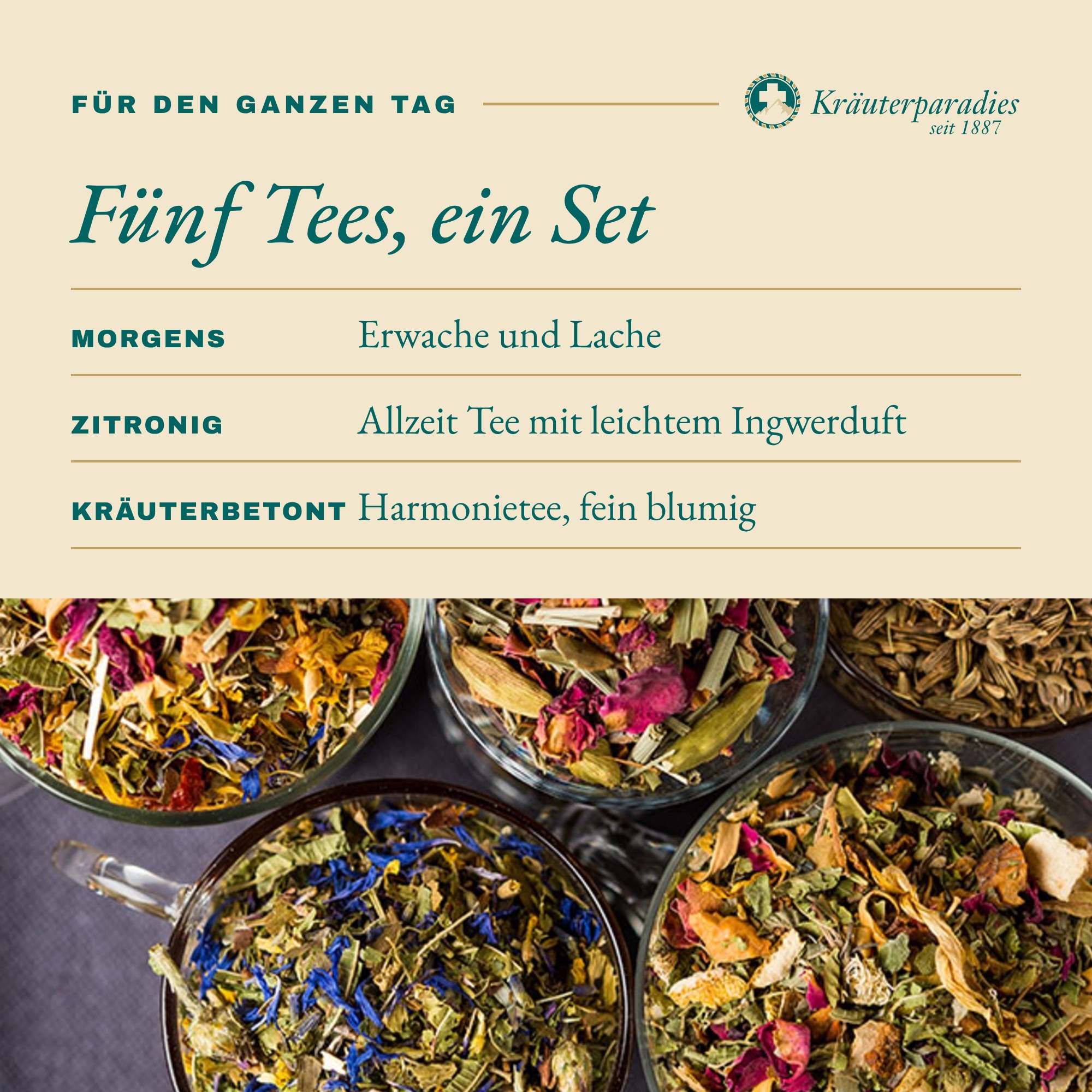 Tee Bundle: Fünf Tees, ein Set