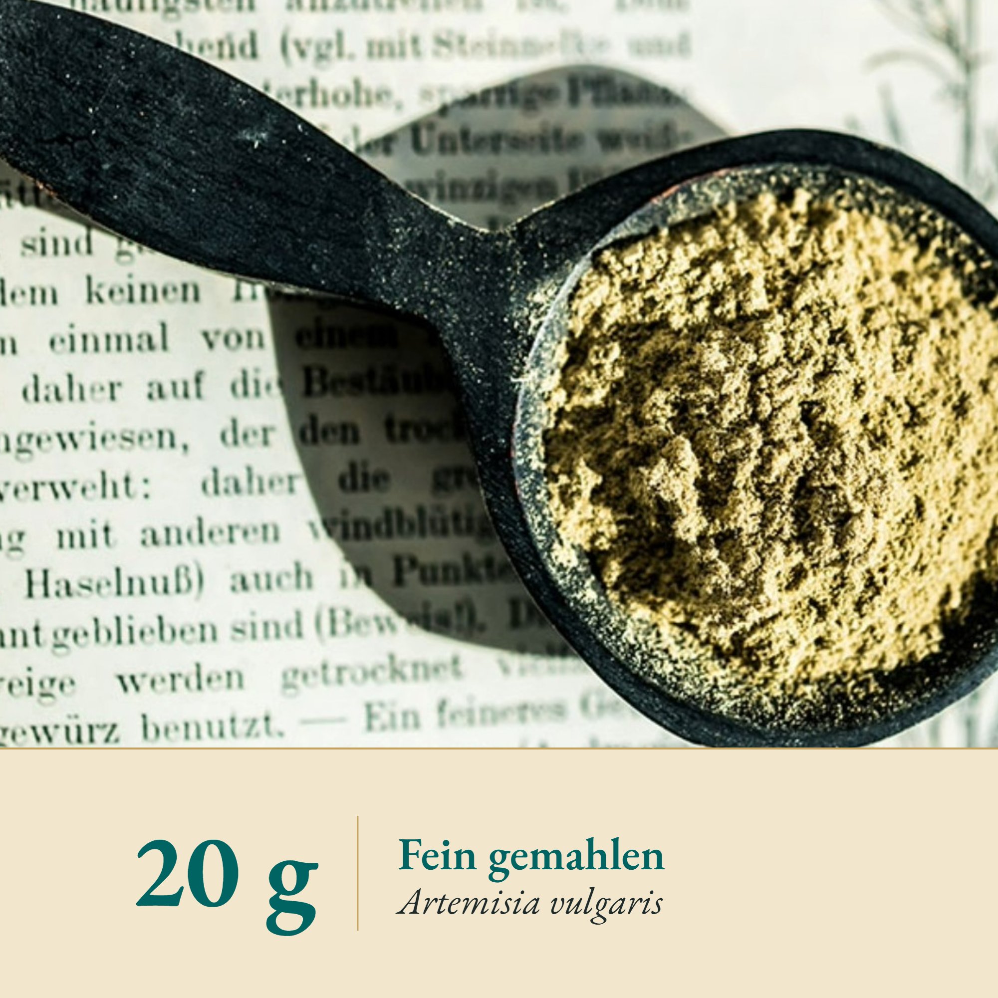 Nahaufnahme Beifußkraut Pulver – Kräuterparadies seit 1887