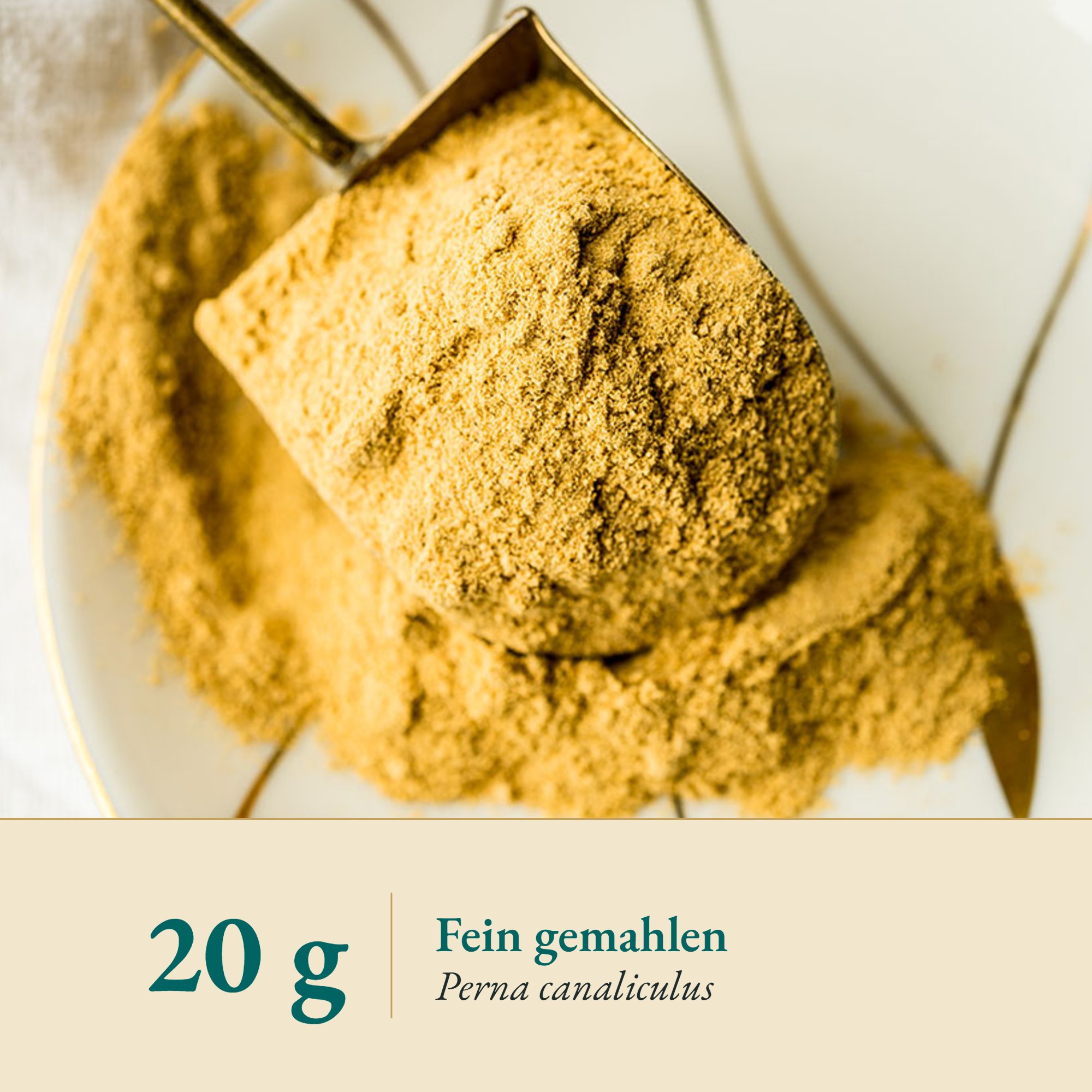 Nahaufnahme Grünlippenmuschelpulver – Kräuterparadies seit 1887