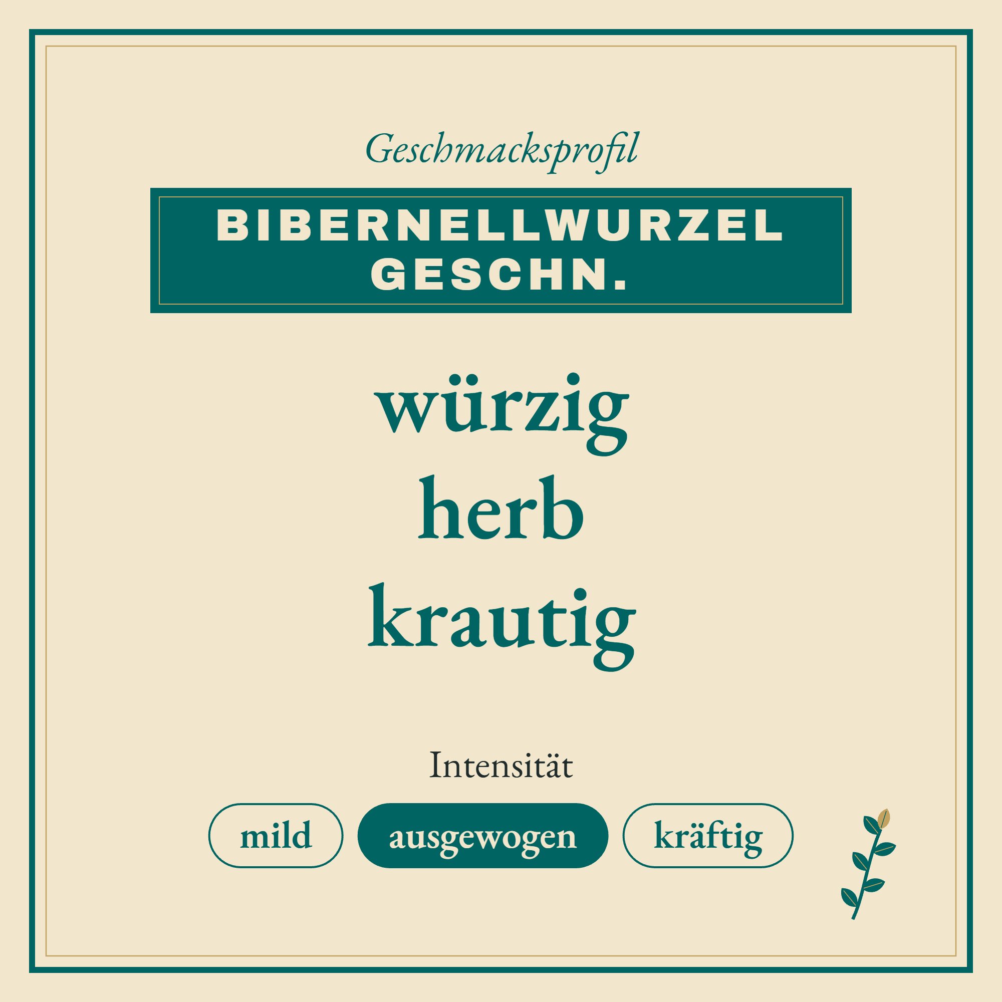 Geschmacksprofil Bibernellwurzel geschn.: würzig, herb und krautig