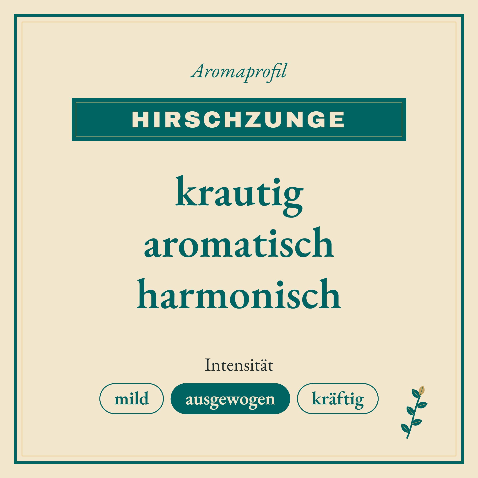 Aromaprofil Hirschzunge: krautig, aromatisch und harmonisch