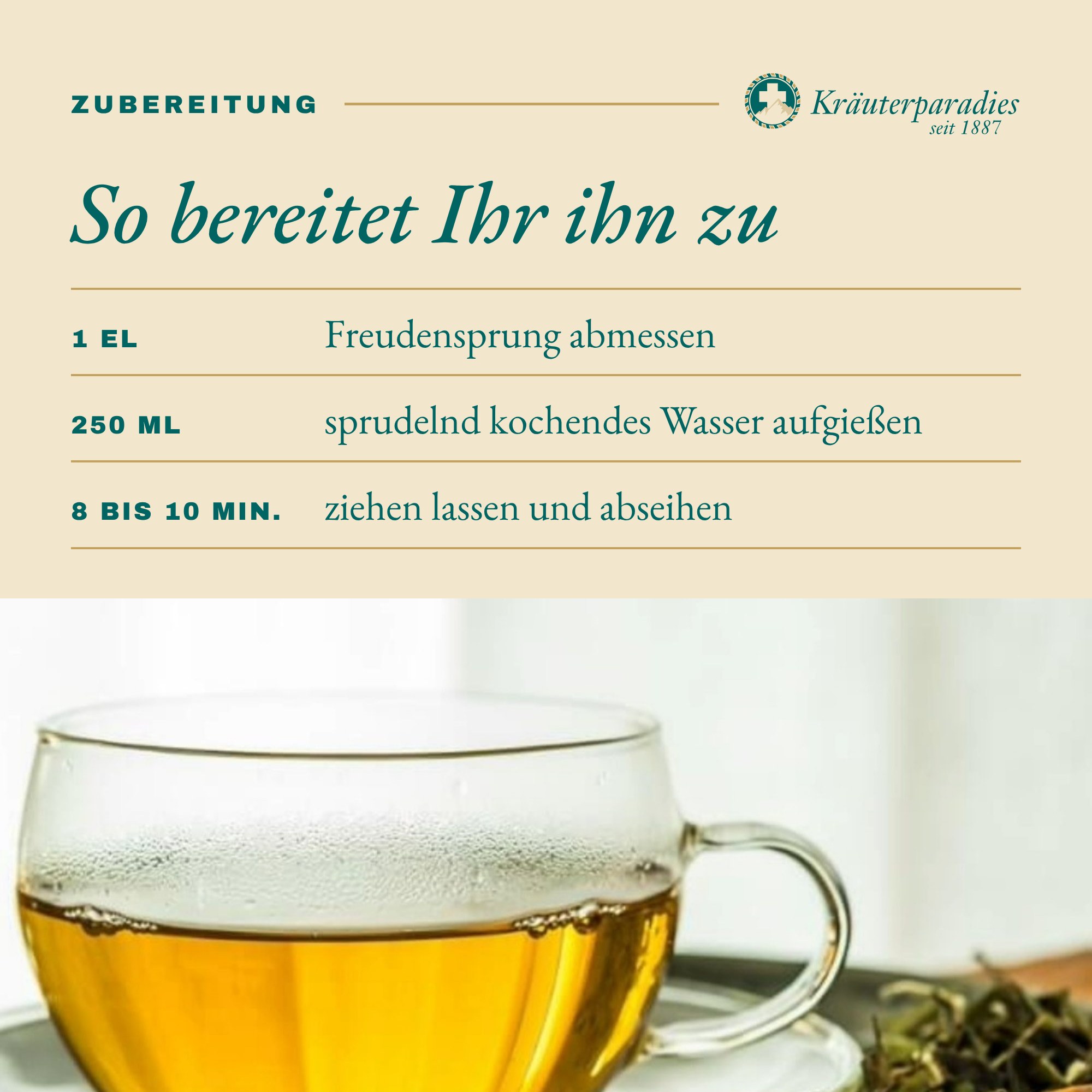 Freudensprung: So bereitet Ihr ihn zu