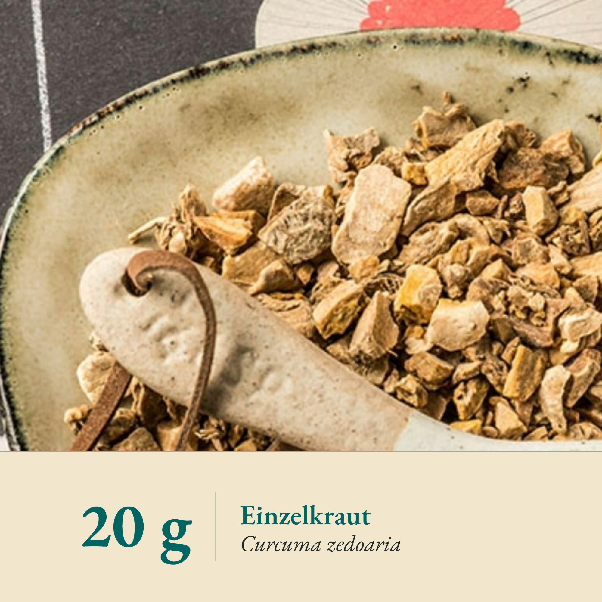 Nahaufnahme Zitwerwurzel – Kräuterparadies seit 1887