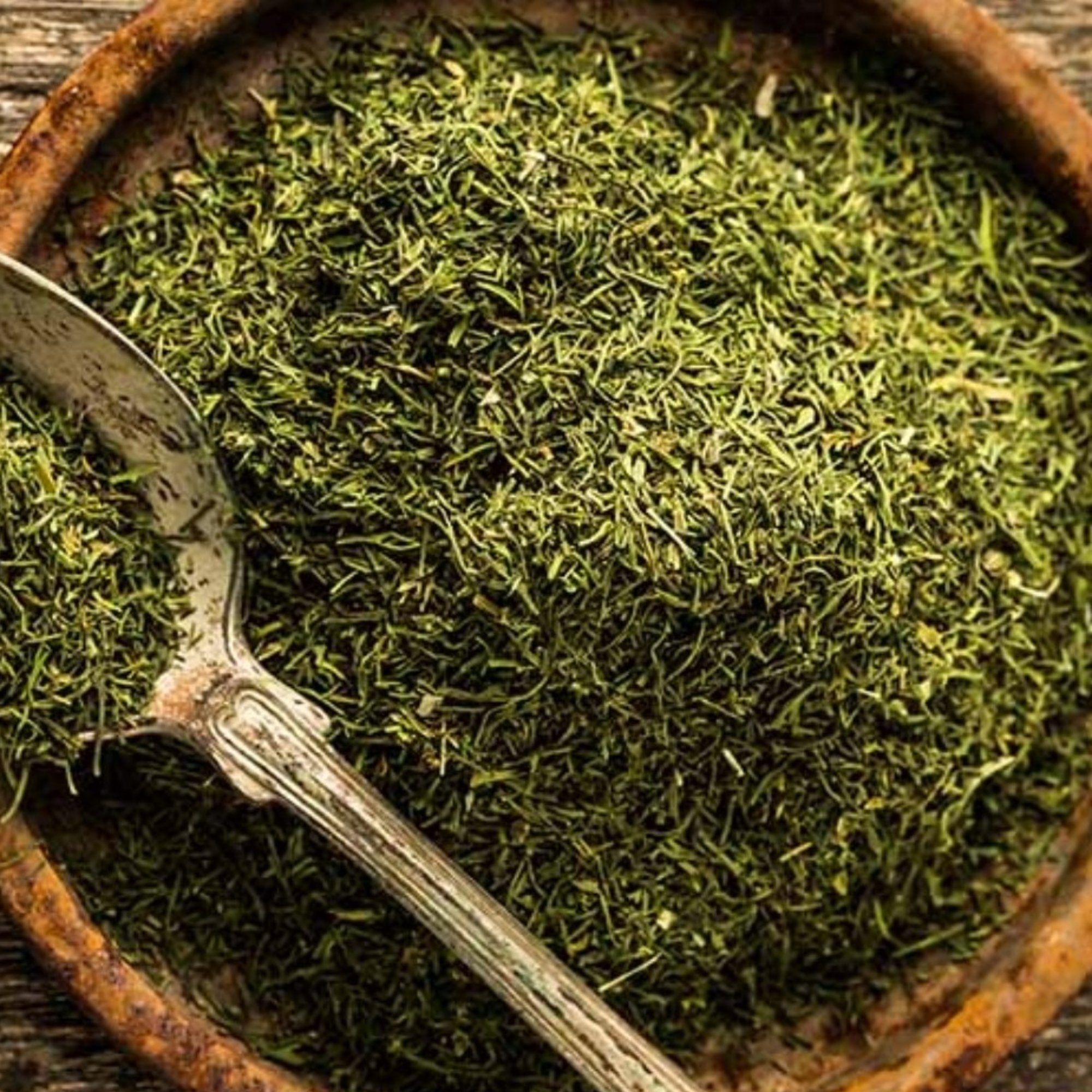 Dill Spitzen, 20 g – Kräuterparadies seit 1887