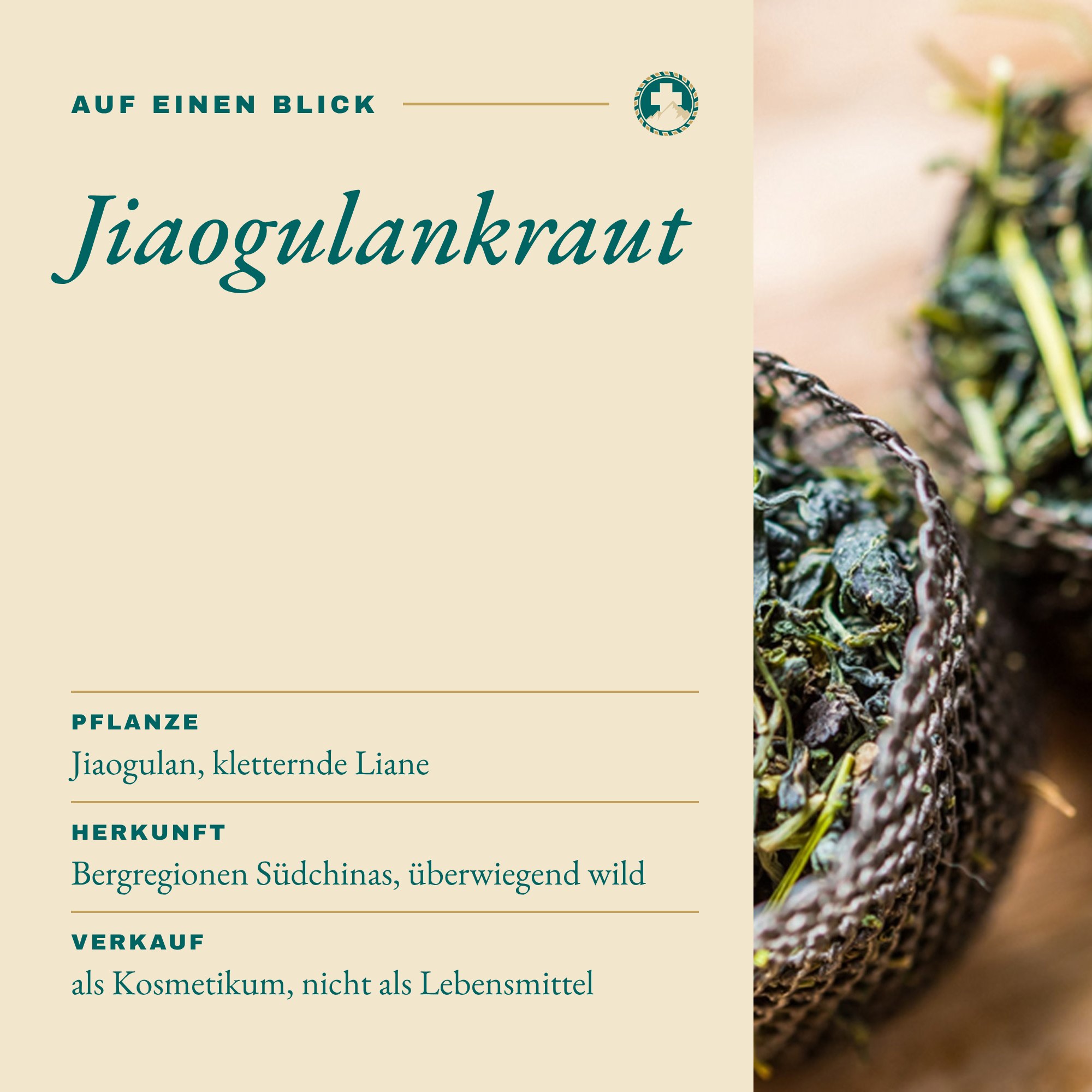 Jiaogulankraut auf einen Blick