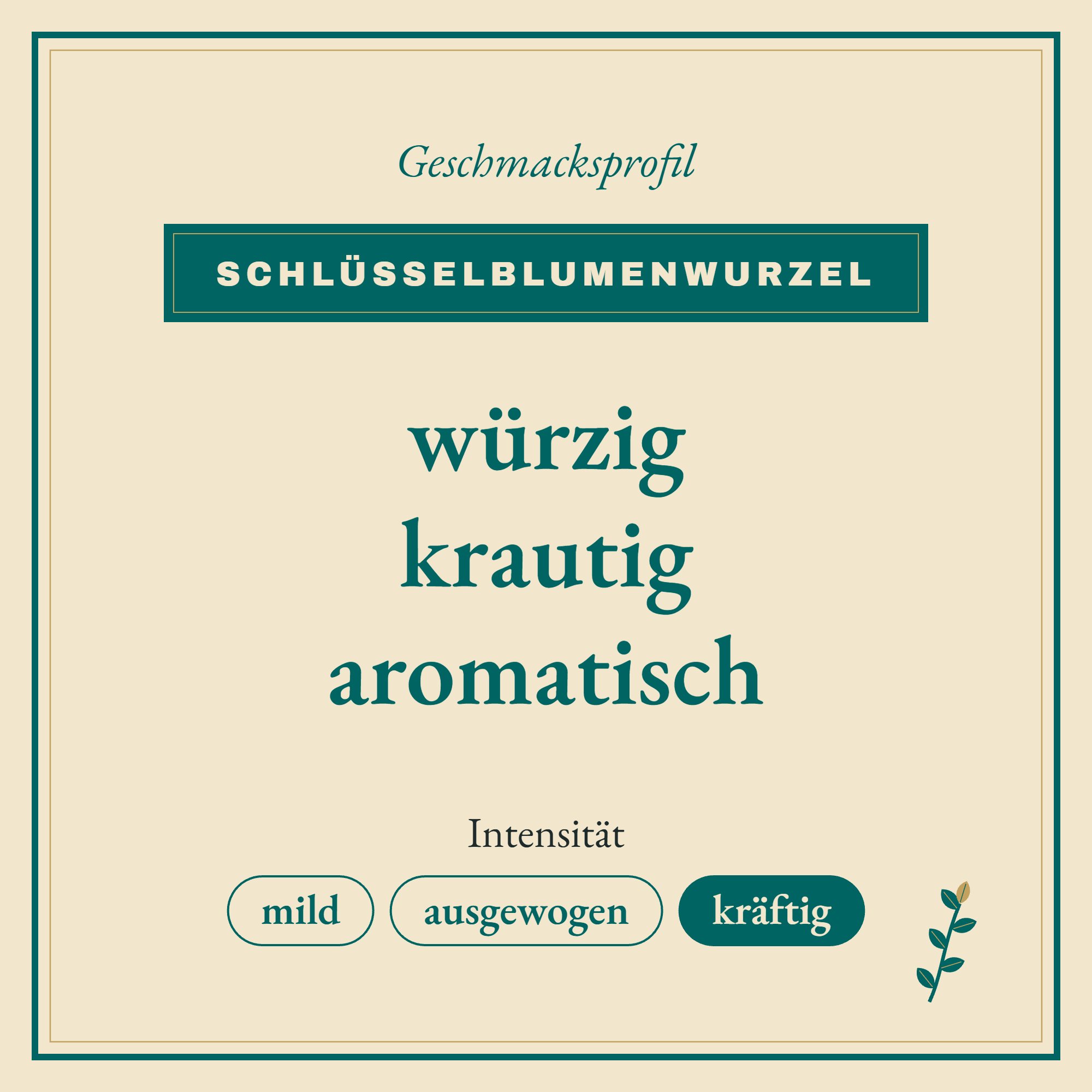 Geschmacksprofil Schlüsselblumenwurzel: würzig, krautig und aromatisch