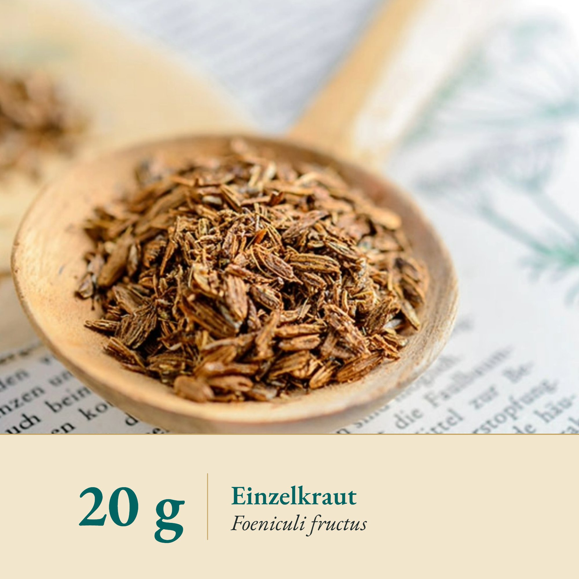 Nahaufnahme Fenchel Schrot – Kräuterparadies seit 1887