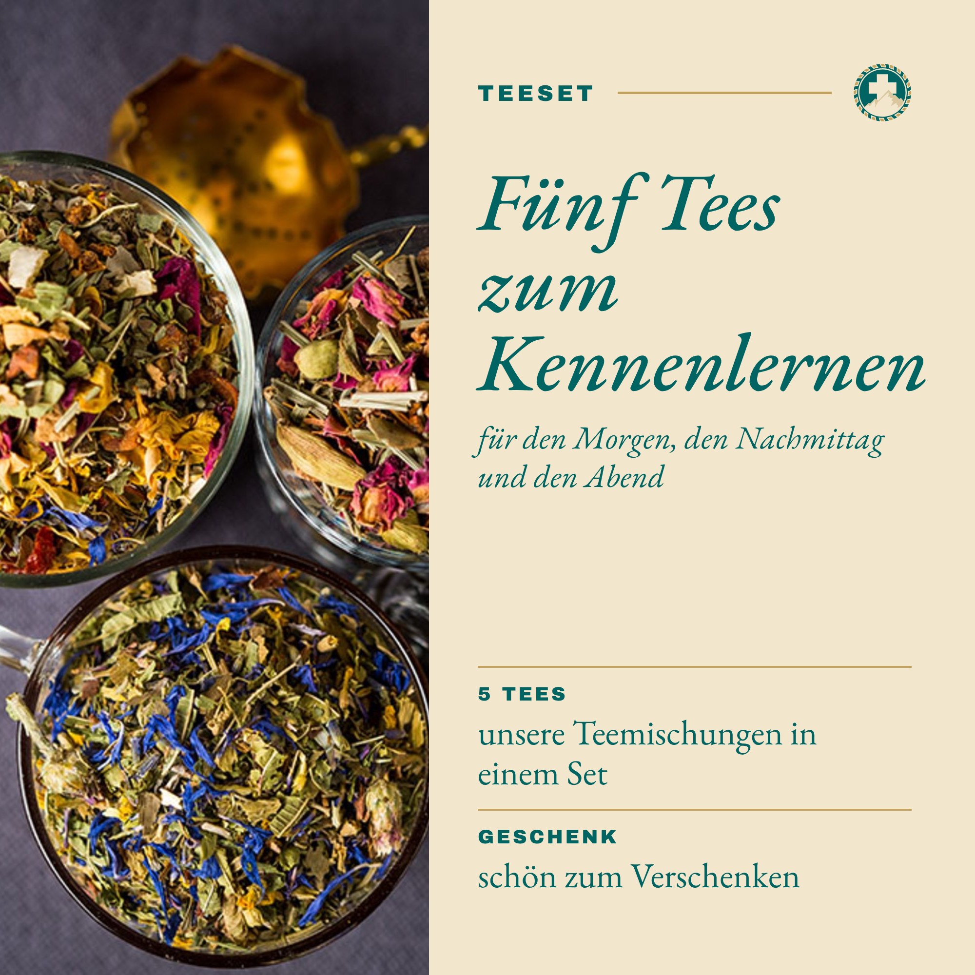 Tee Bundle: Fünf Tees zum Kennenlernen