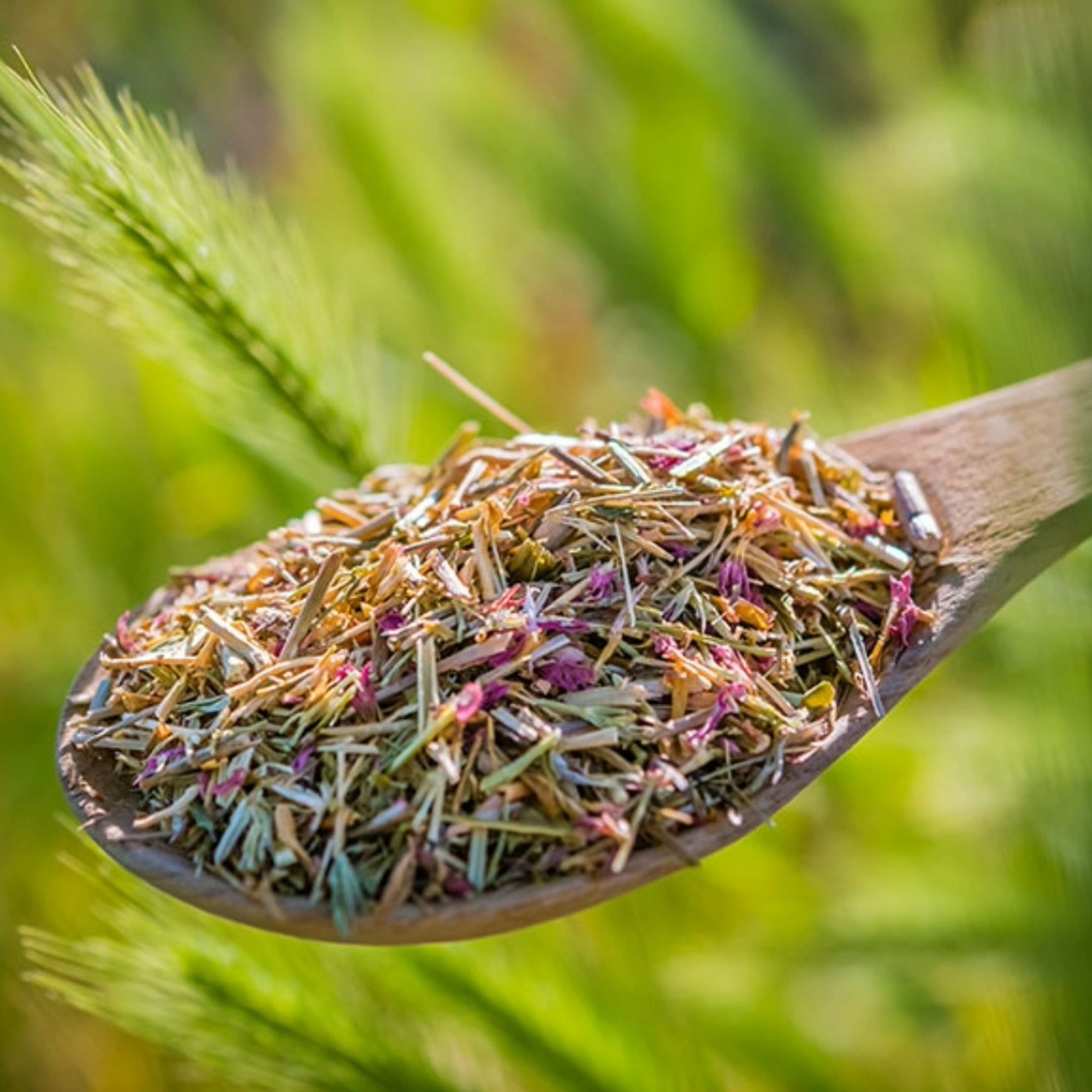Tausendgüldenkraut, 20 g – Kräuterparadies seit 1887