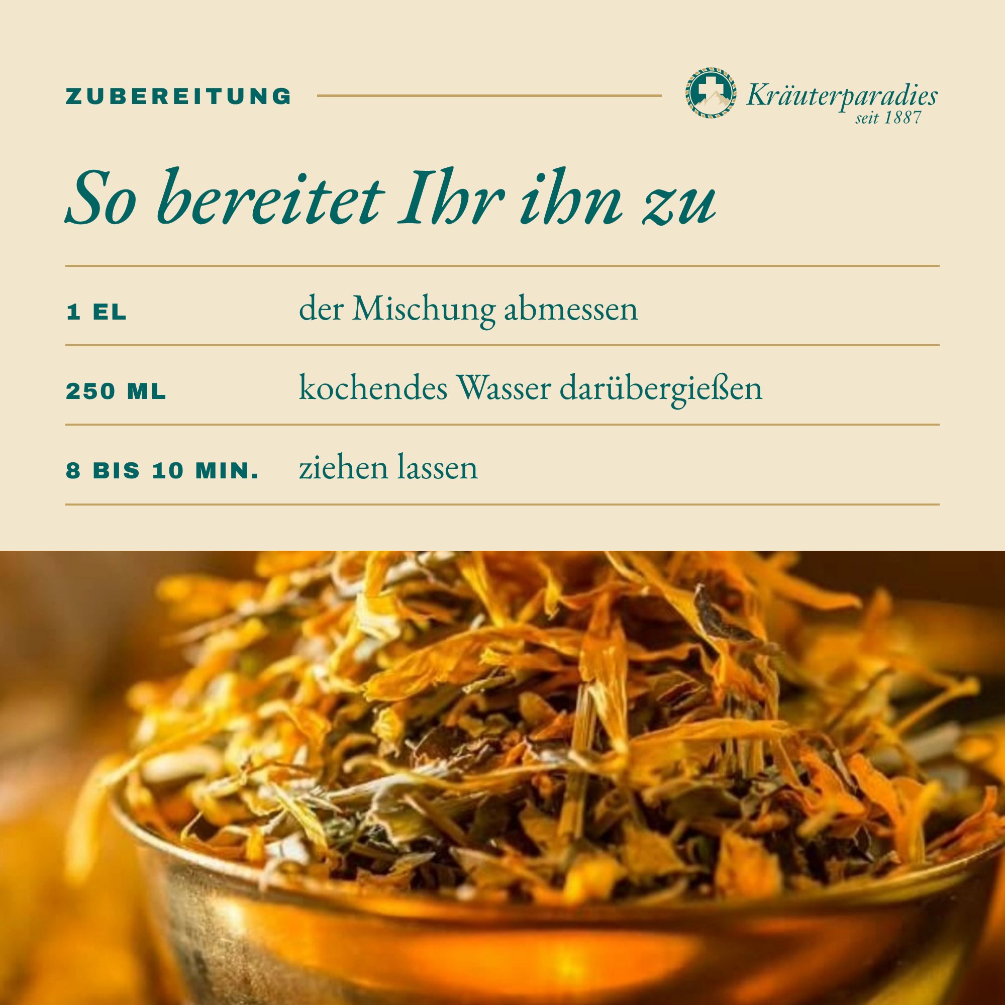 Ingwer Kräuter Tee: So bereitet Ihr ihn zu