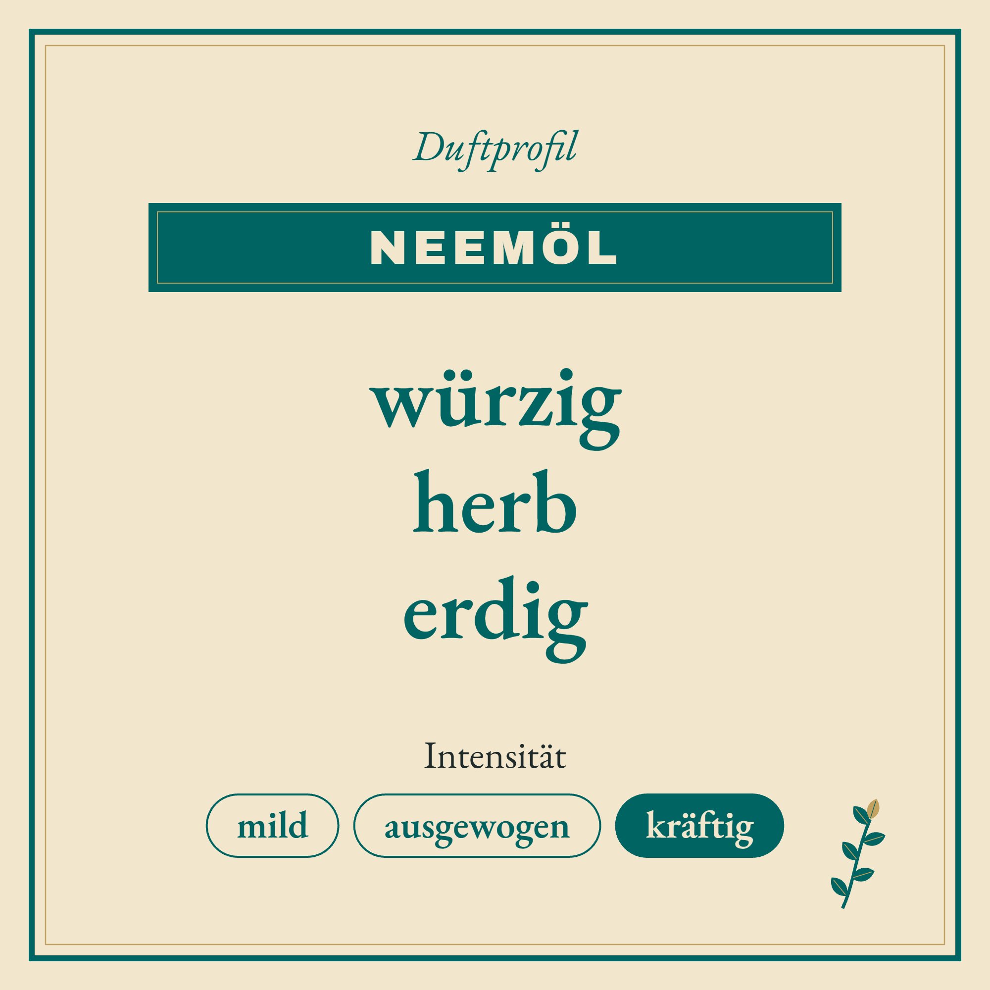Duftprofil Neemöl - Azadirachta indica: würzig, herb und erdig