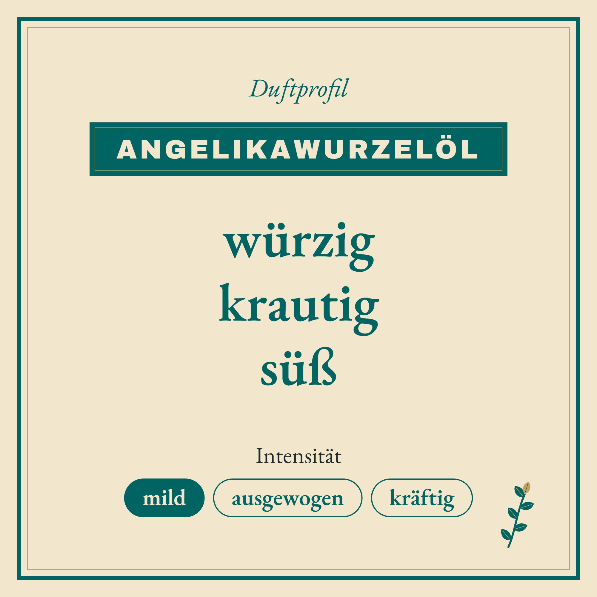 Duftprofil Angelikawurzelöl: würzig, krautig und süß